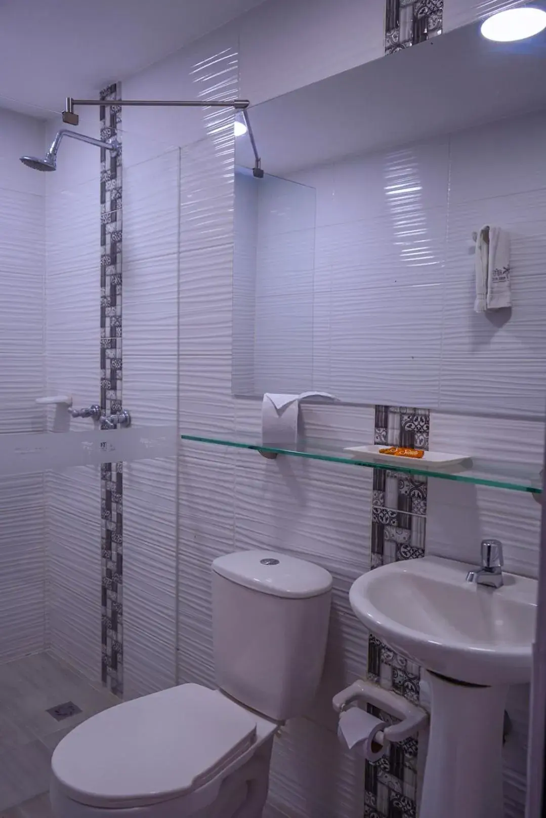 Shower in Hotel Palmas del Estadio Shower in Hotel Palmas del Estadio