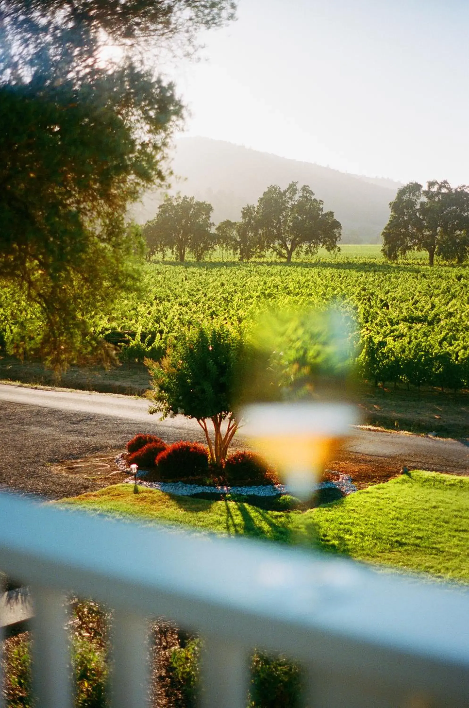 The Setting Inn Napa Valley The Setting Inn Napa Valley