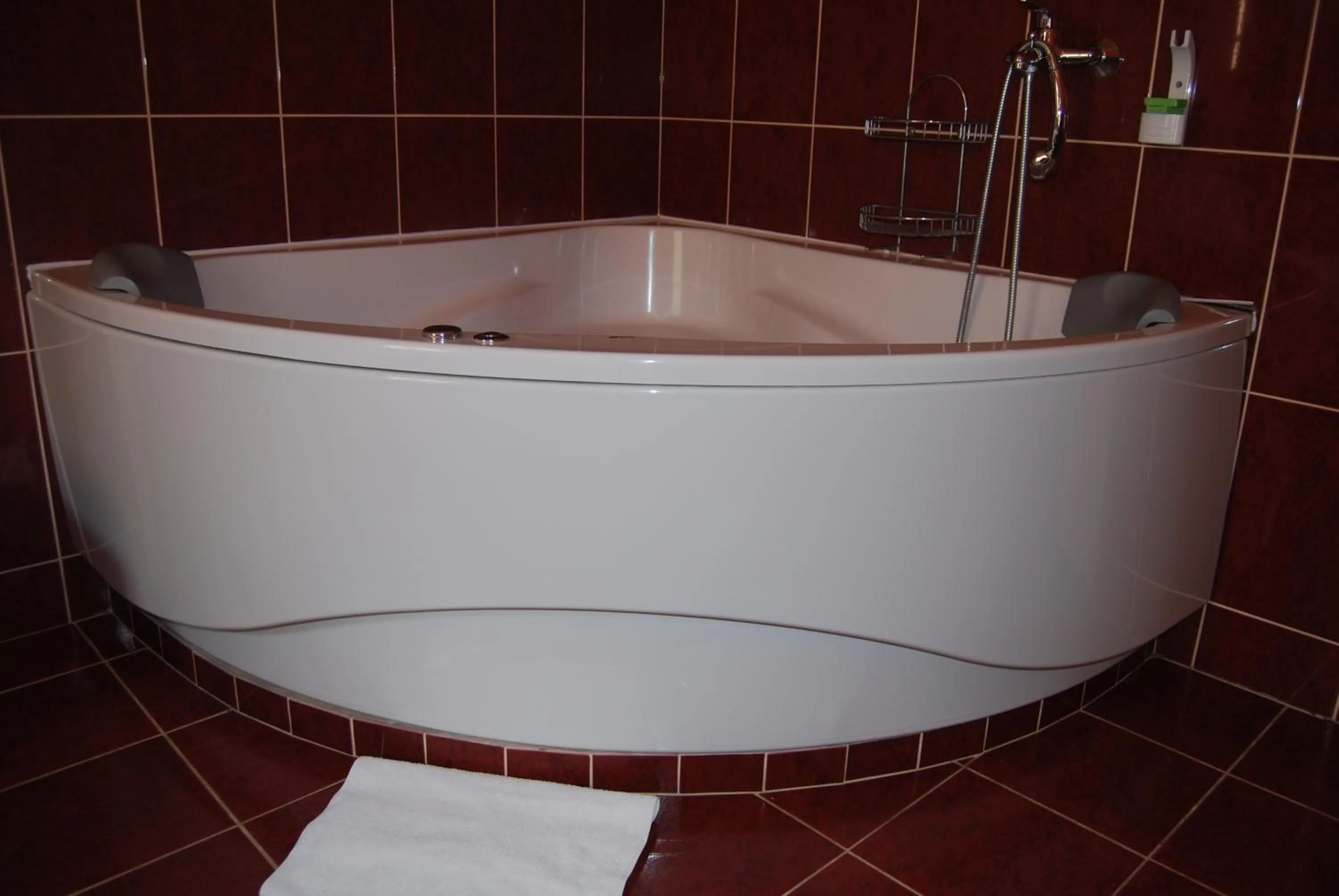 Shower in Hotel Praha Club bed & breakfast