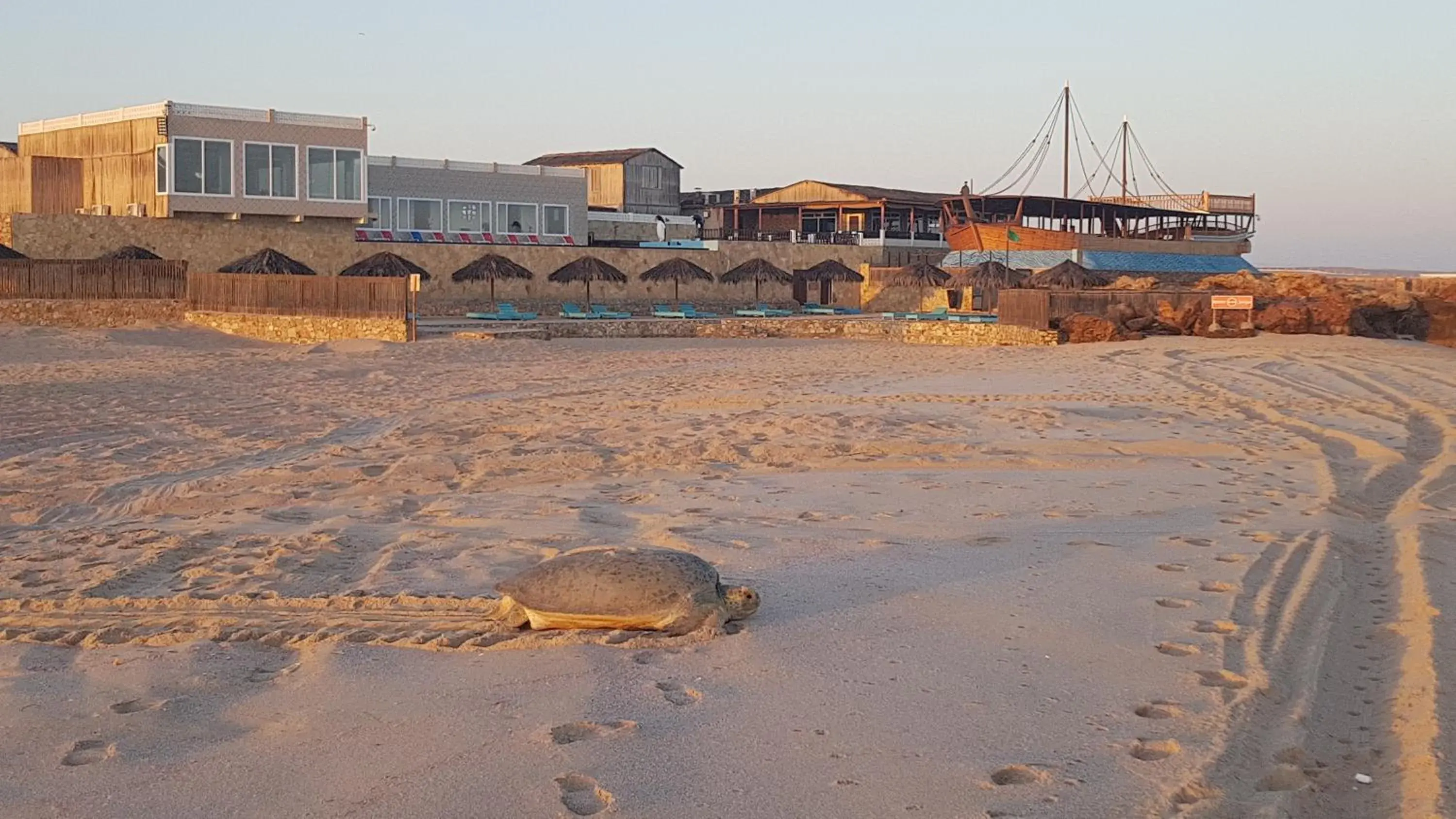 Property building in Turtle Beach Resort Property building in Turtle Beach Resort