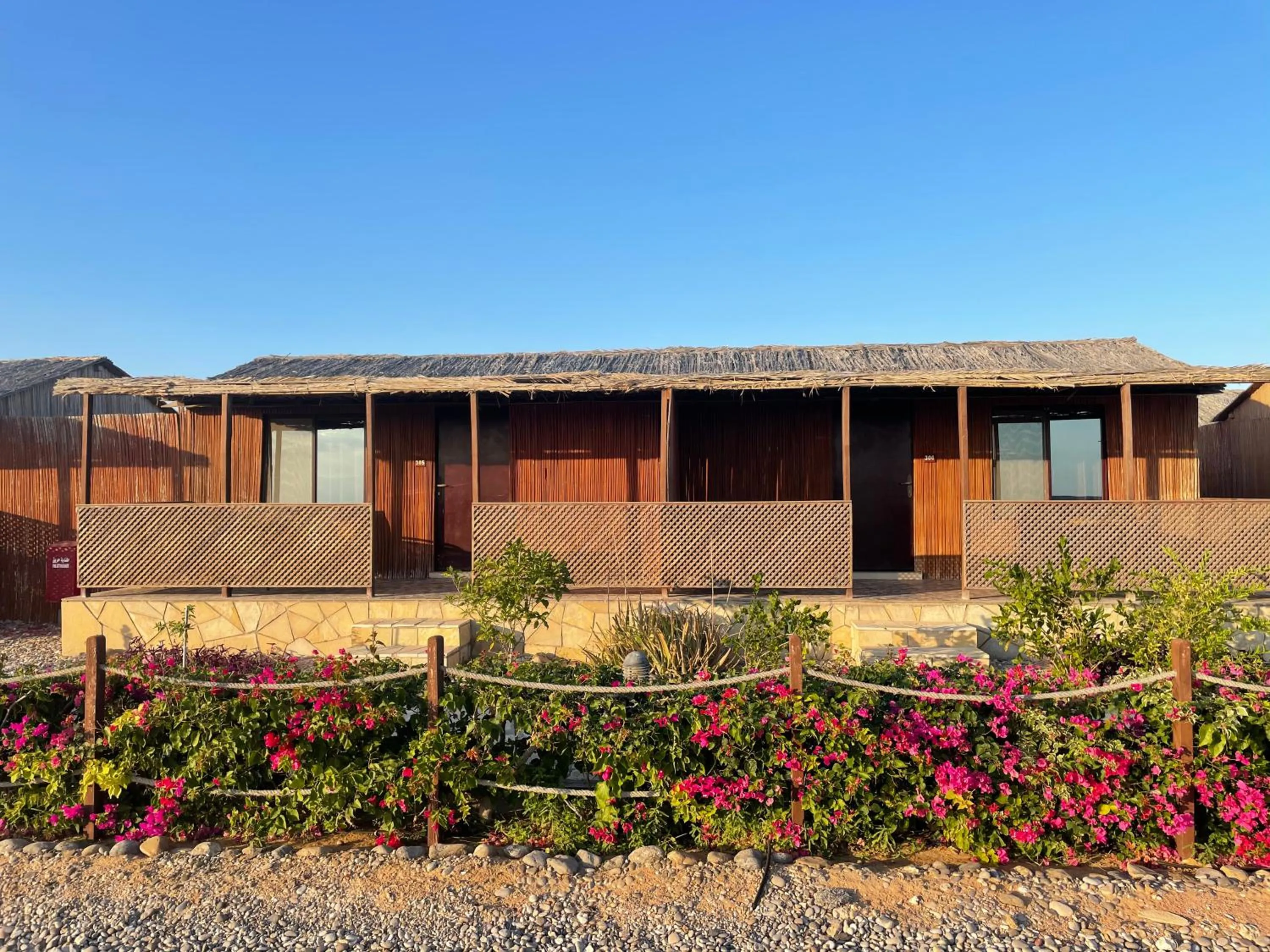 Balcony/Terrace in Turtle Beach Resort