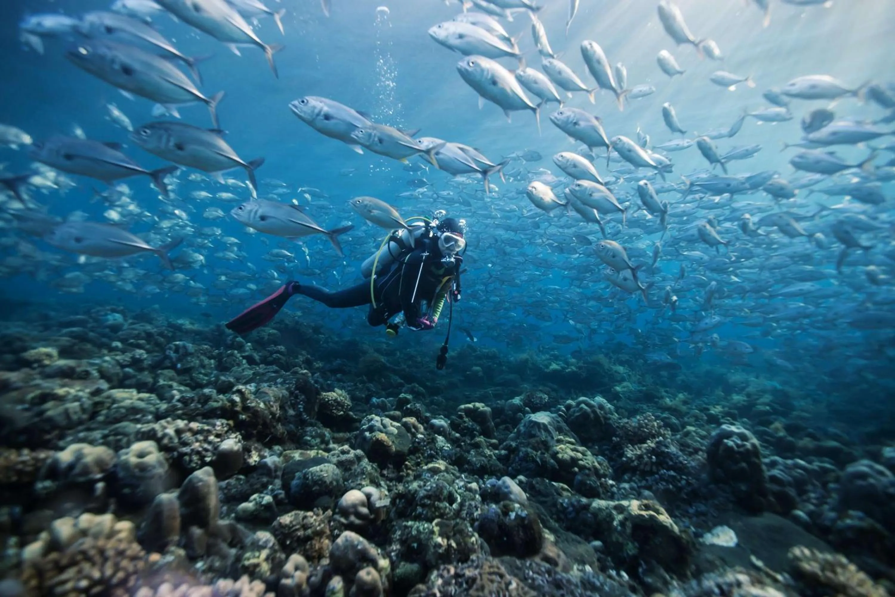 Sports in Dusit Thani Maldives - 50 percent discount on transfers for stays until 20 Dec 2025