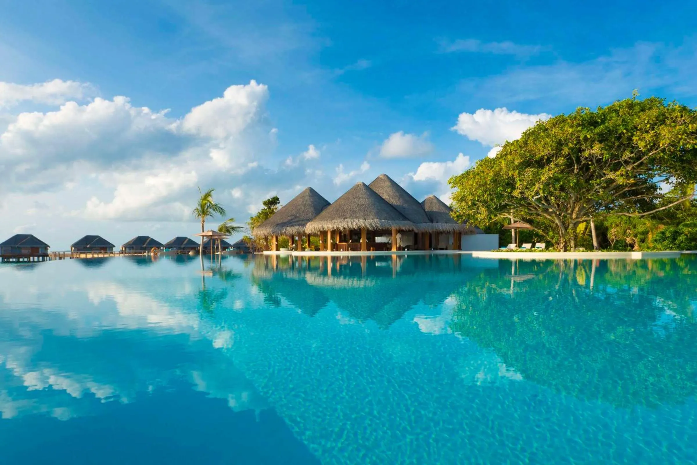Pool view in Dusit Thani Maldives - 50 percent discount on transfers for stays until 20 Dec 2025