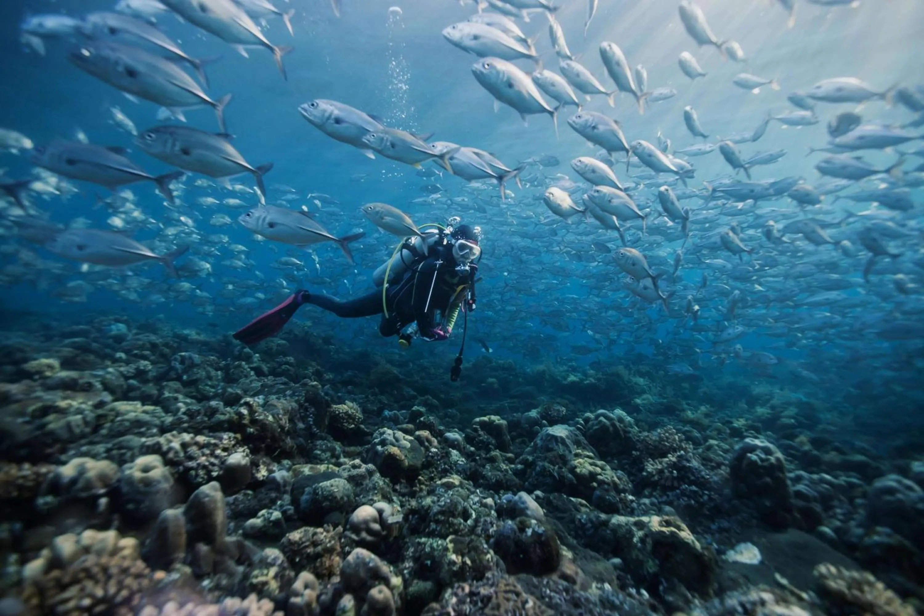 Sports in Dusit Thani Maldives - 50 percent discount on transfers for stays until 20 Dec 2025