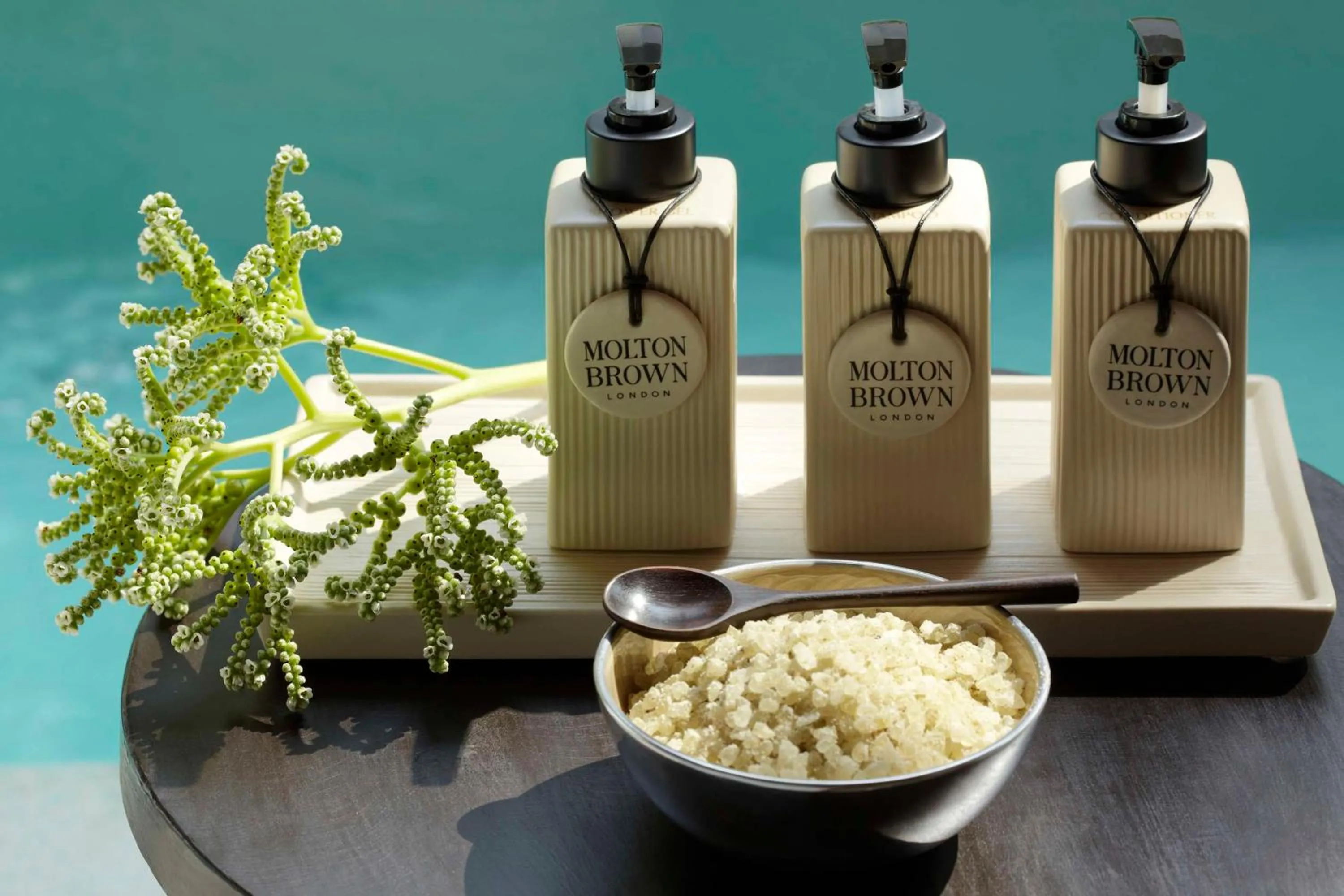 Other in Dusit Thani Maldives - 50 percent discount on transfers for stays until 20 Dec 2025