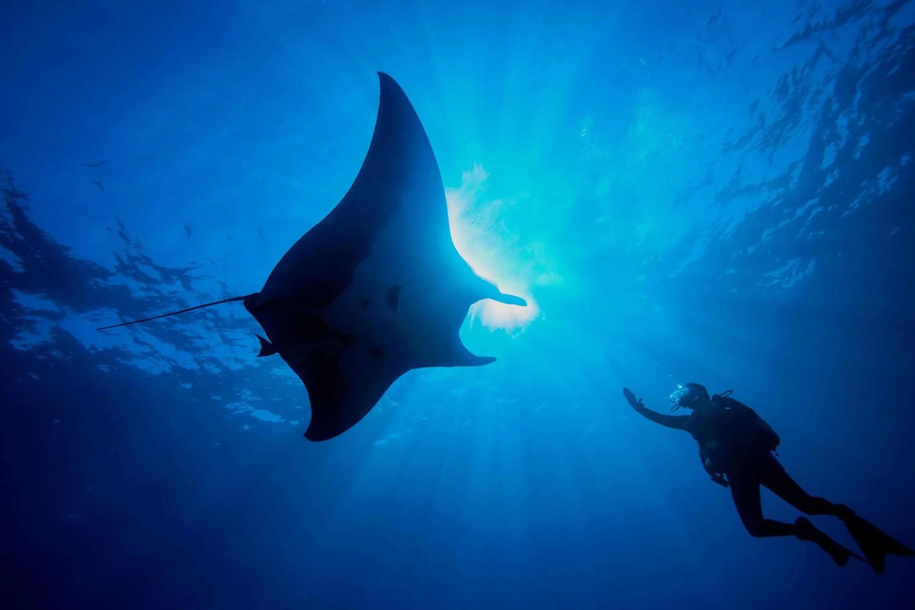 Fitness centre/facilities in Dusit Thani Maldives - 50 percent discount on transfers for stays until 20 Dec 2025