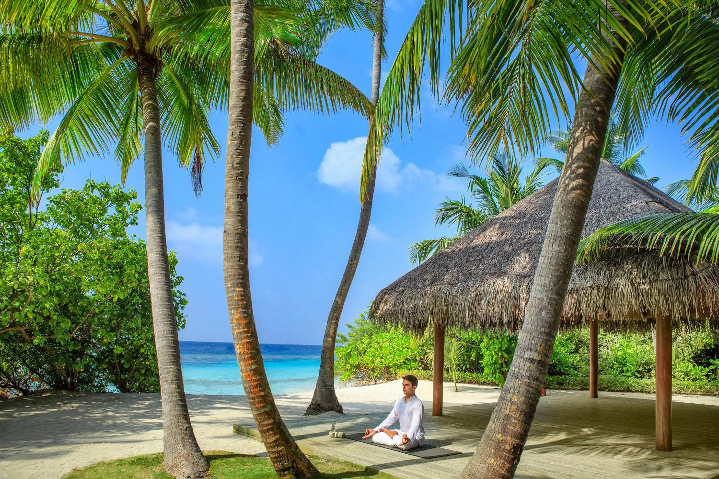 Staff in Dusit Thani Maldives - 50 percent discount on transfers for stays until 20 Dec 2025