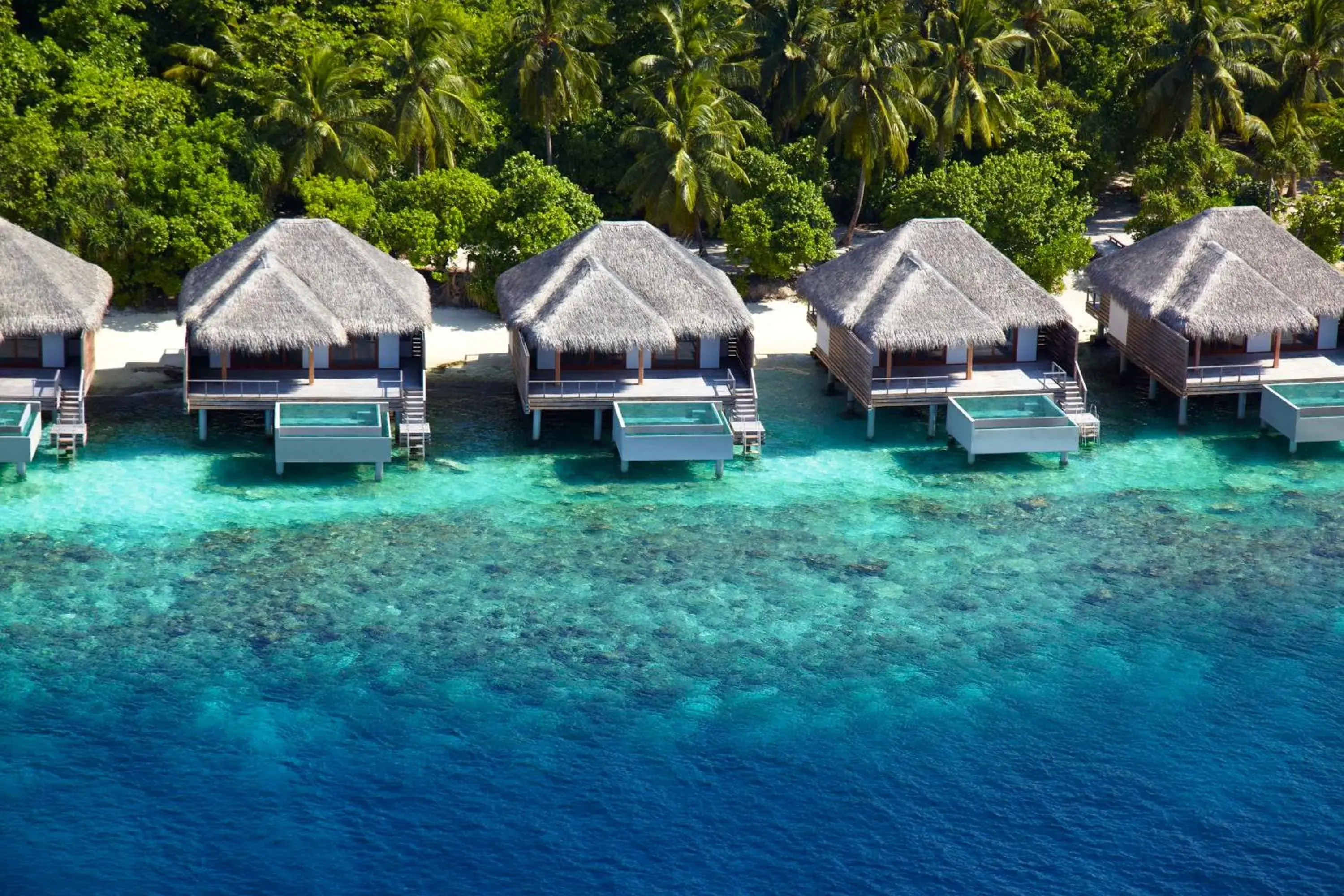 View (from property/room) in Dusit Thani Maldives - 50 percent discount on transfers for stays until 20 Dec 2025 View (from property/room) in Dusit Thani Maldives - 50 percent discount on transfers for stays until 20 Dec 2025