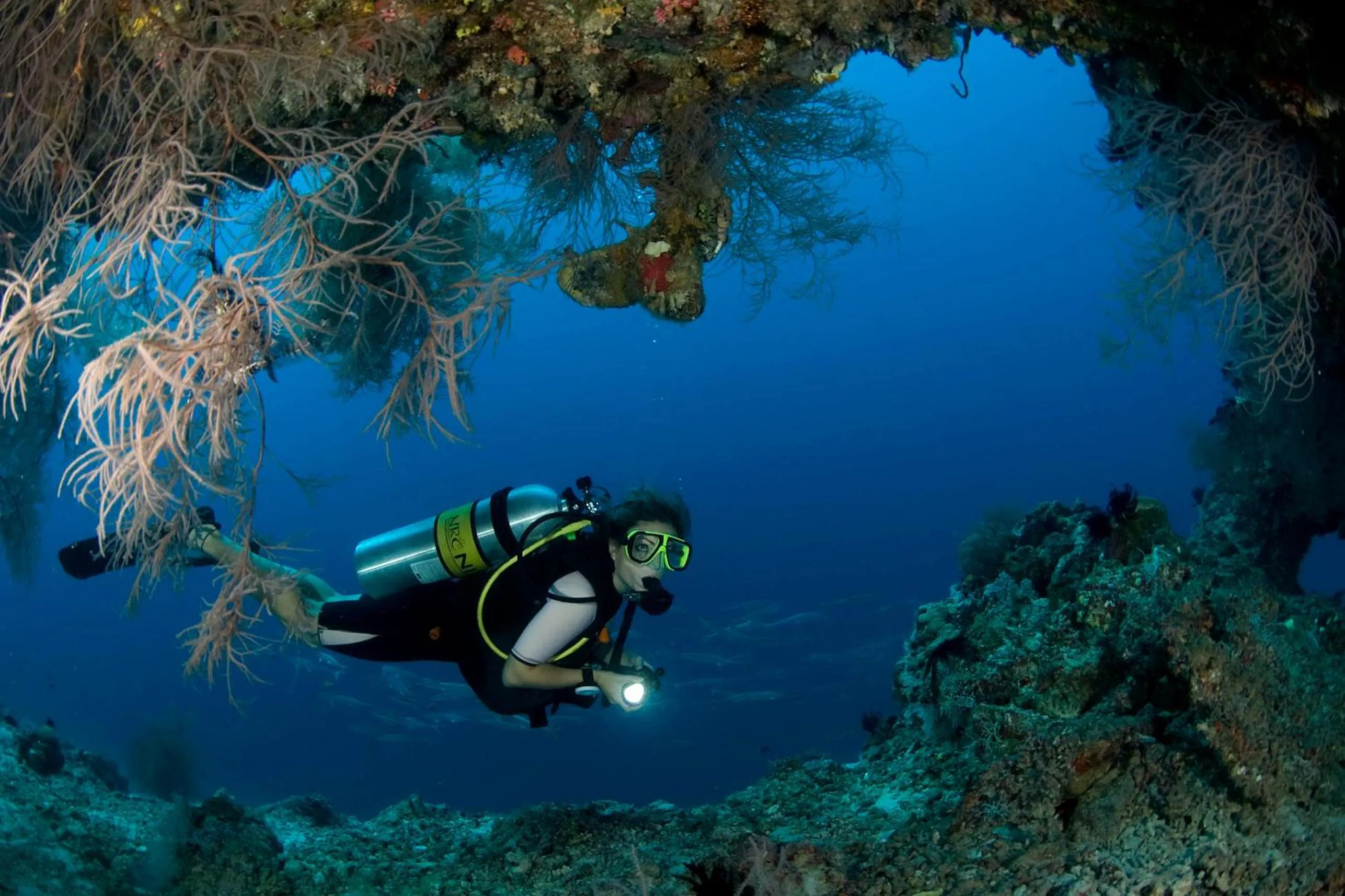 Natural landscape in Dusit Thani Maldives - 50 percent discount on transfers for stays until 20 Dec 2025