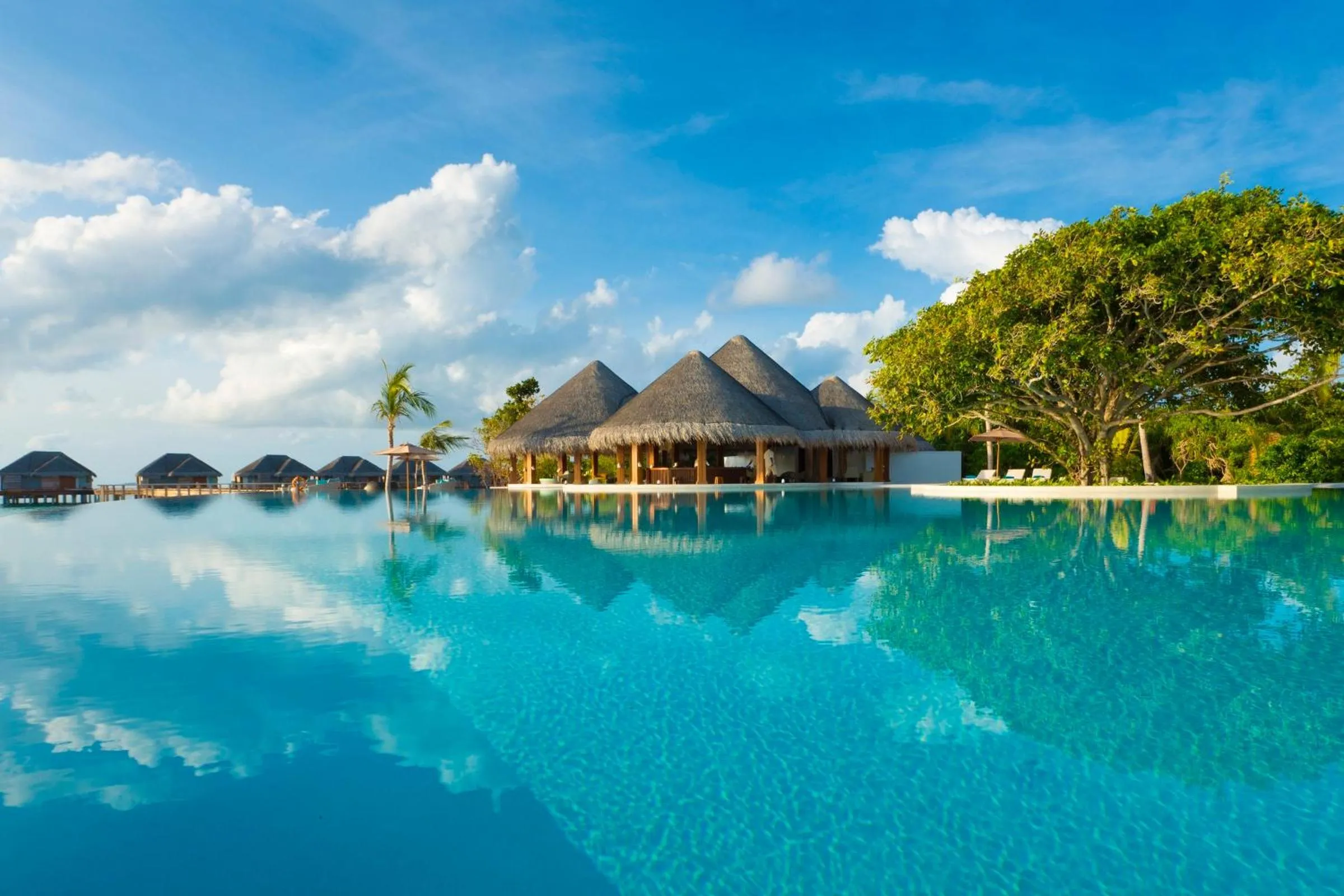 Day in Dusit Thani Maldives - 50 percent discount on transfers for stays until 20 Dec 2025