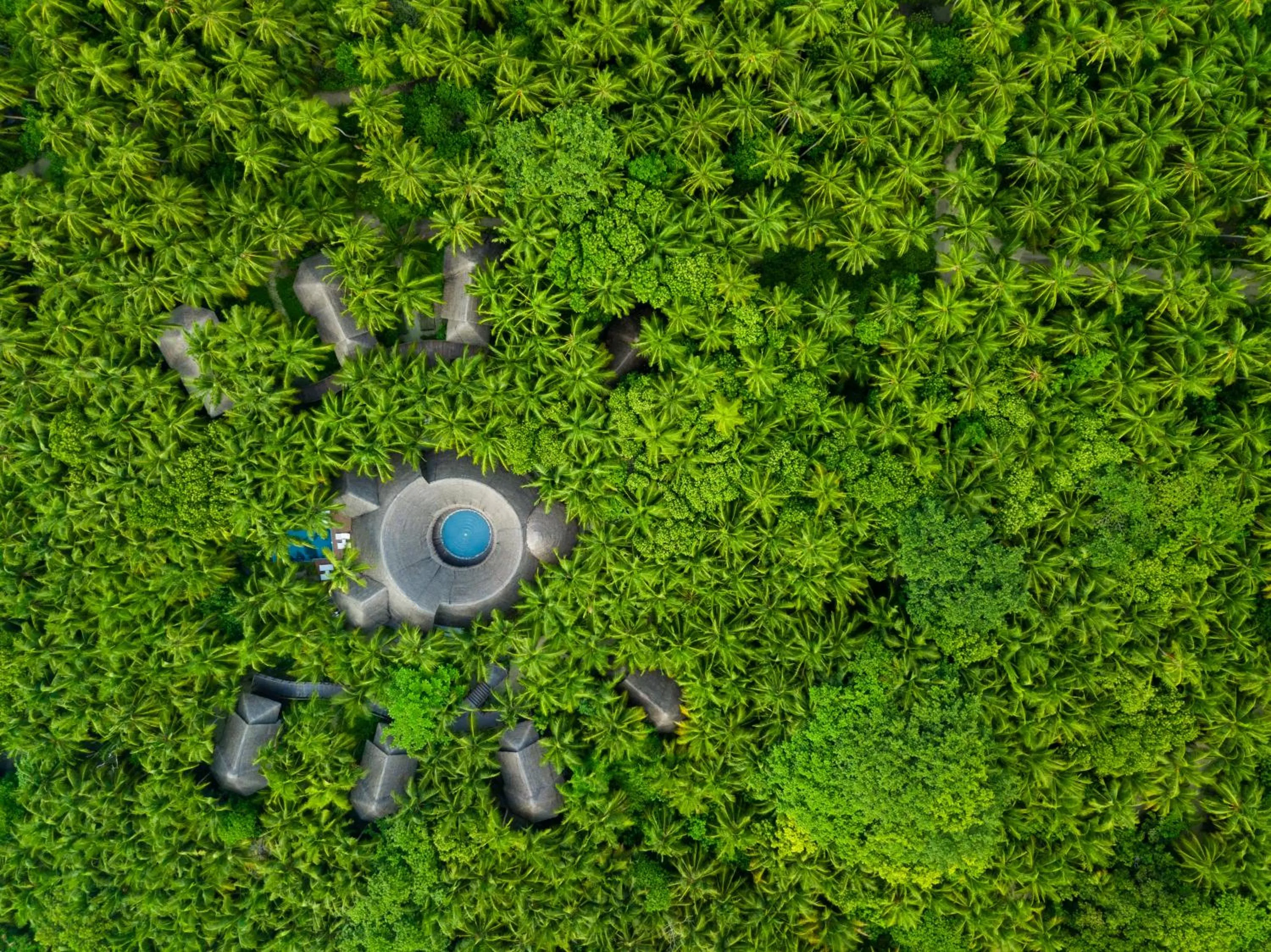 Other in Dusit Thani Maldives - 50 percent discount on transfers for stays until 20 Dec 2025