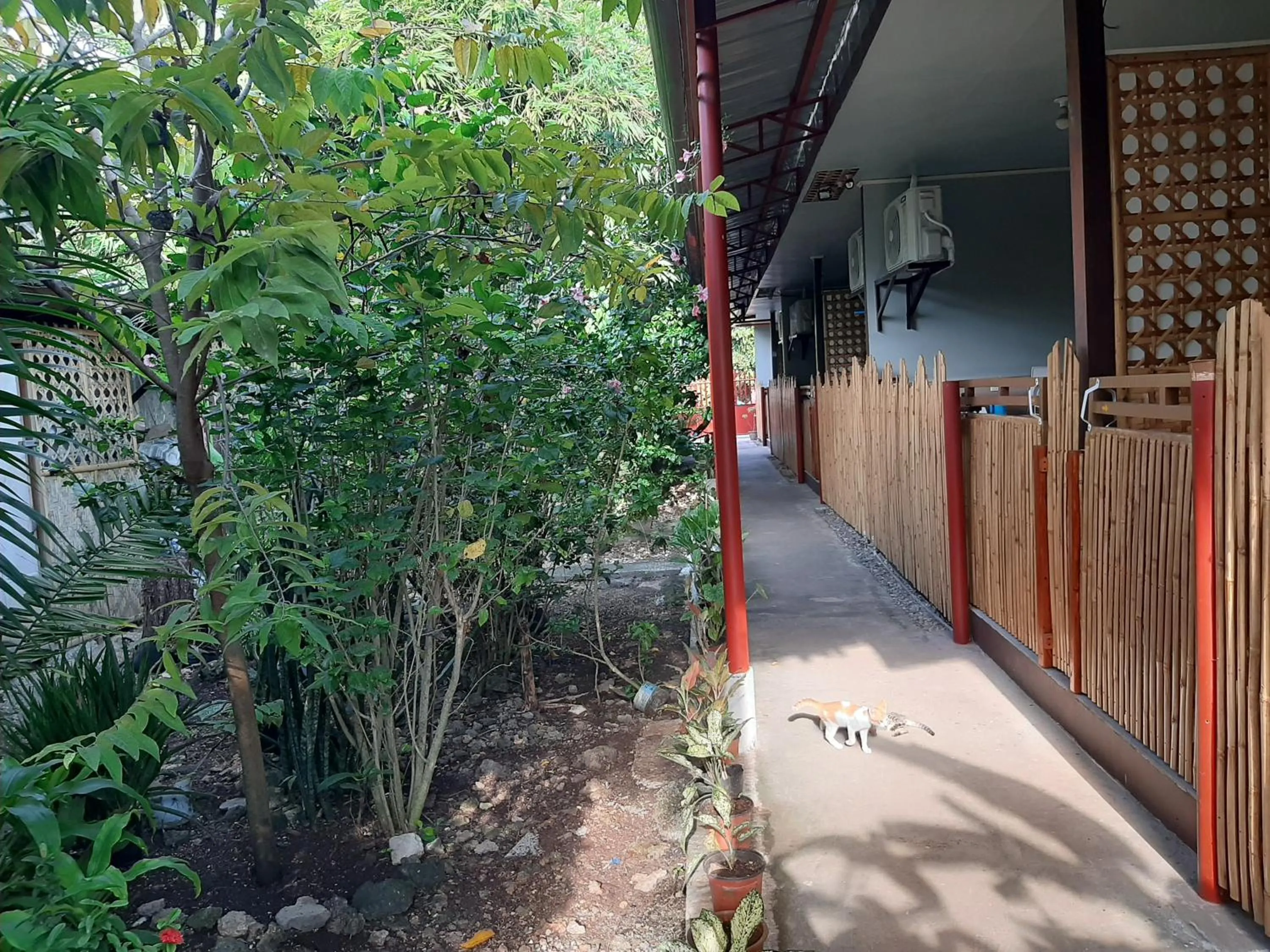 Alimpay Foresters Apartment