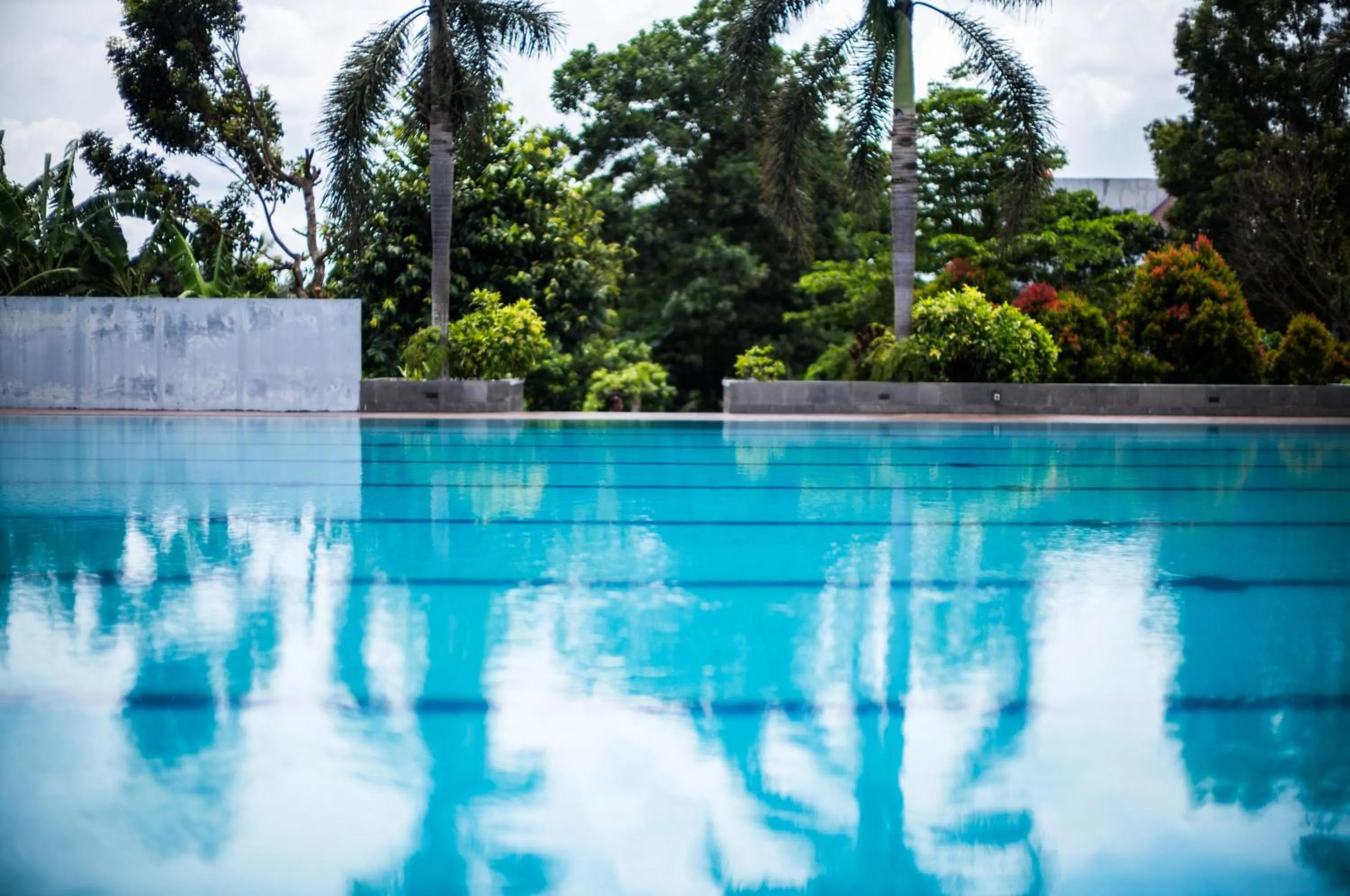 Garden in APM Equestrian Resort