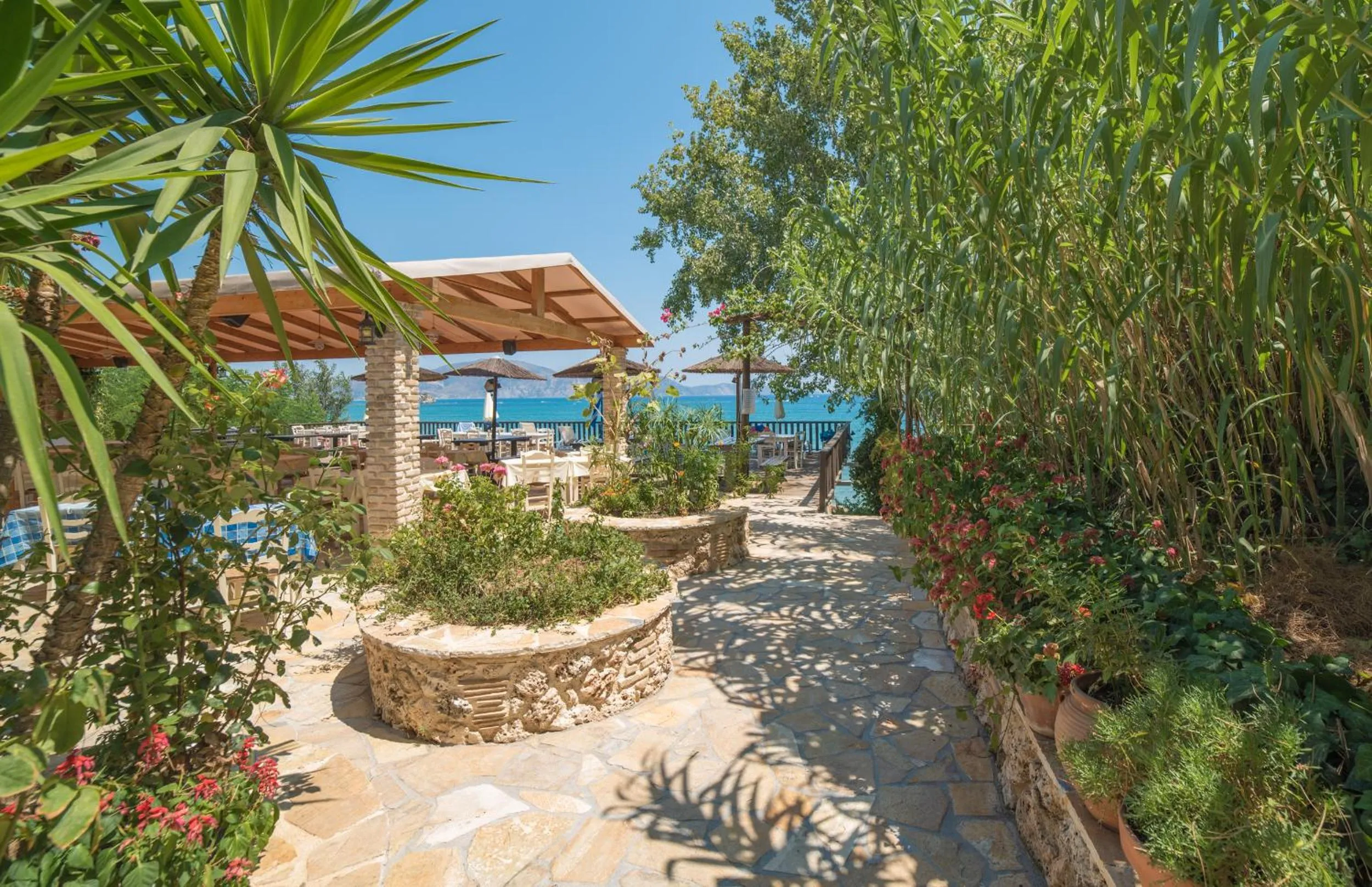 Garden in Porto Koukla Beach