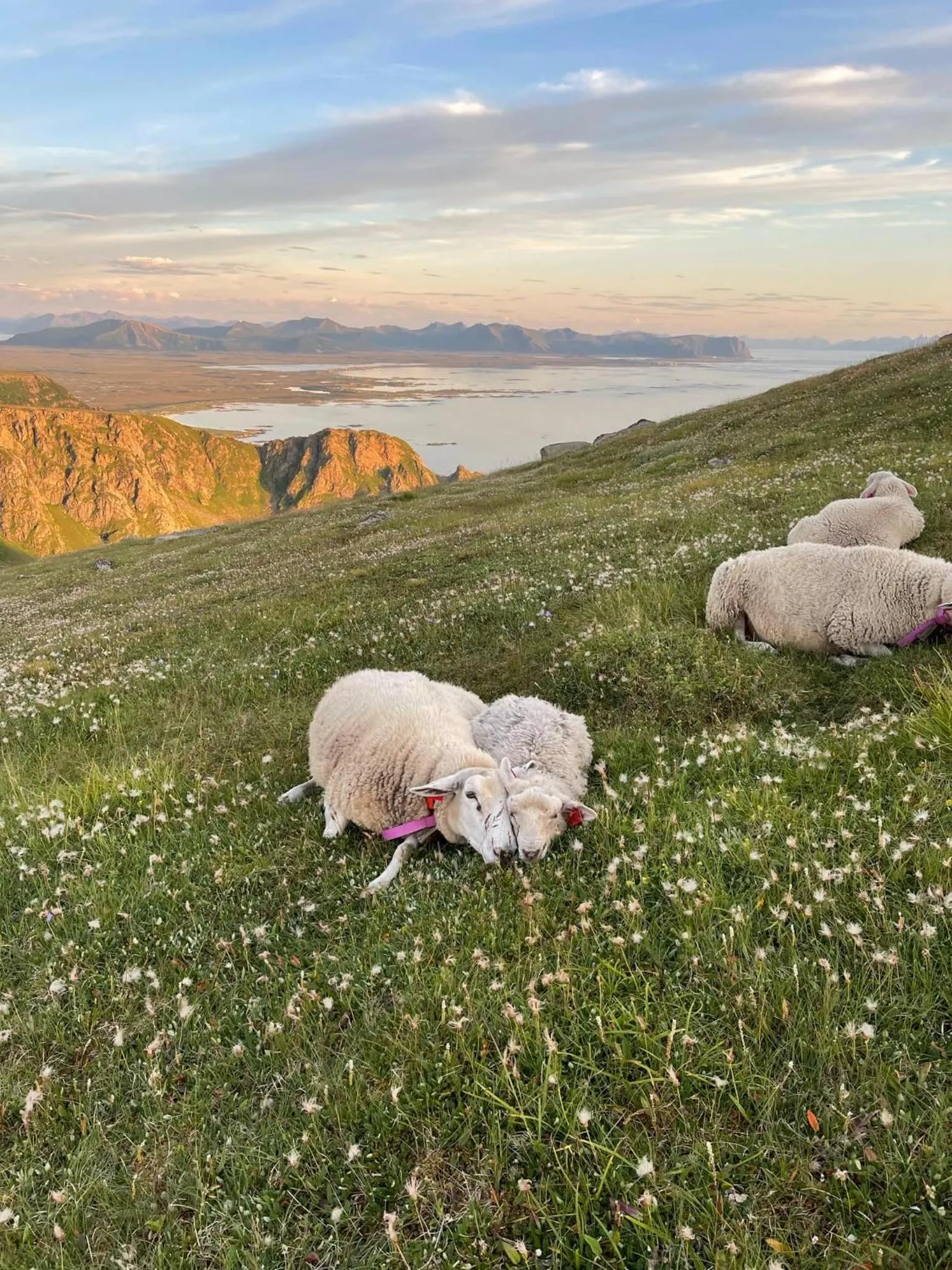 Hiking in Grønnbuene Rorbu Hotel