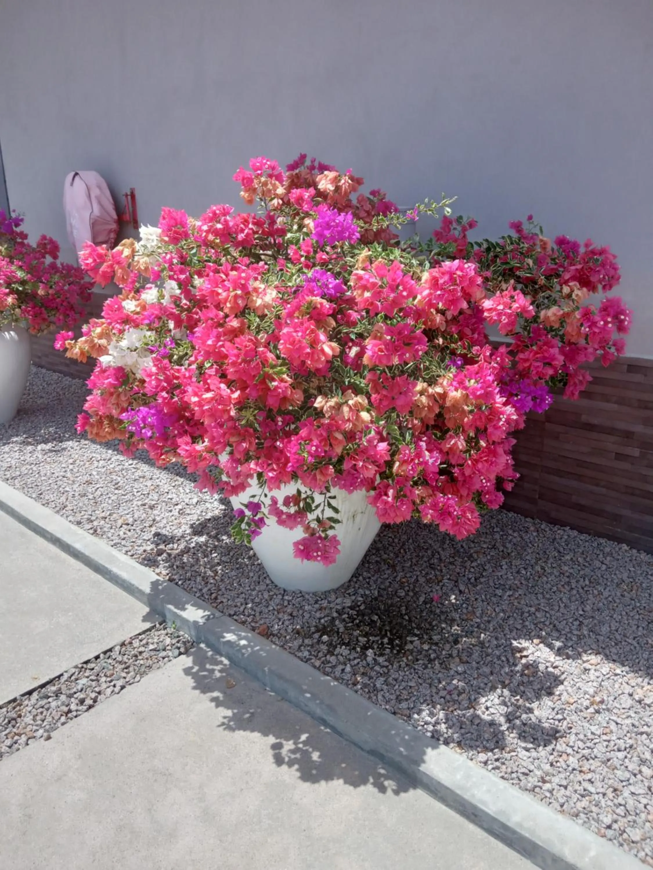 Decorative detail in Residence Argine