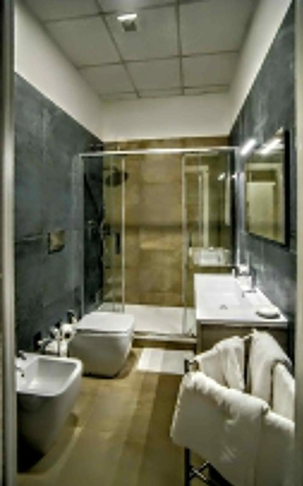 Classic Triple Room - single occupancy in Roof Garden House