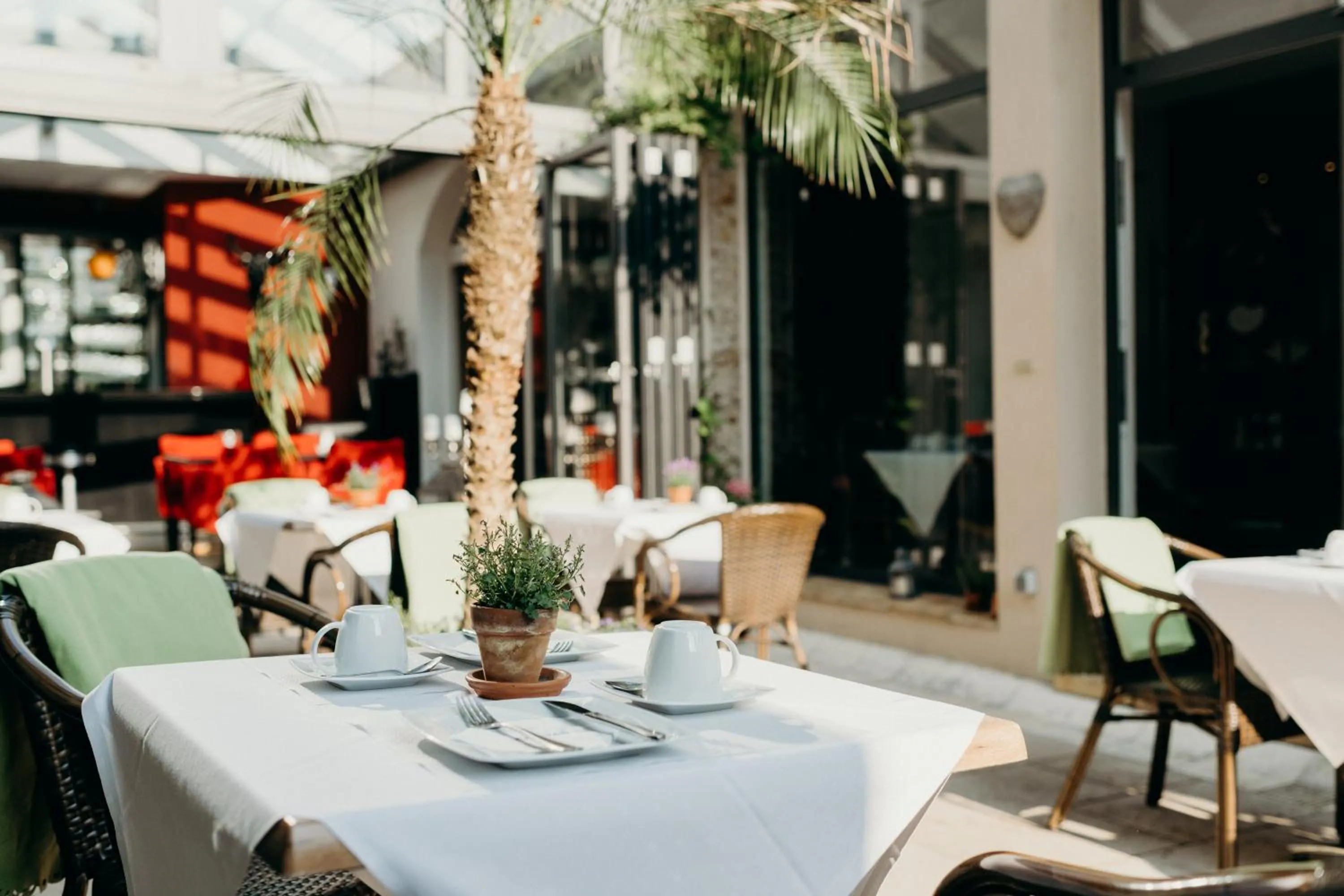 Patio in Hotel Crystal