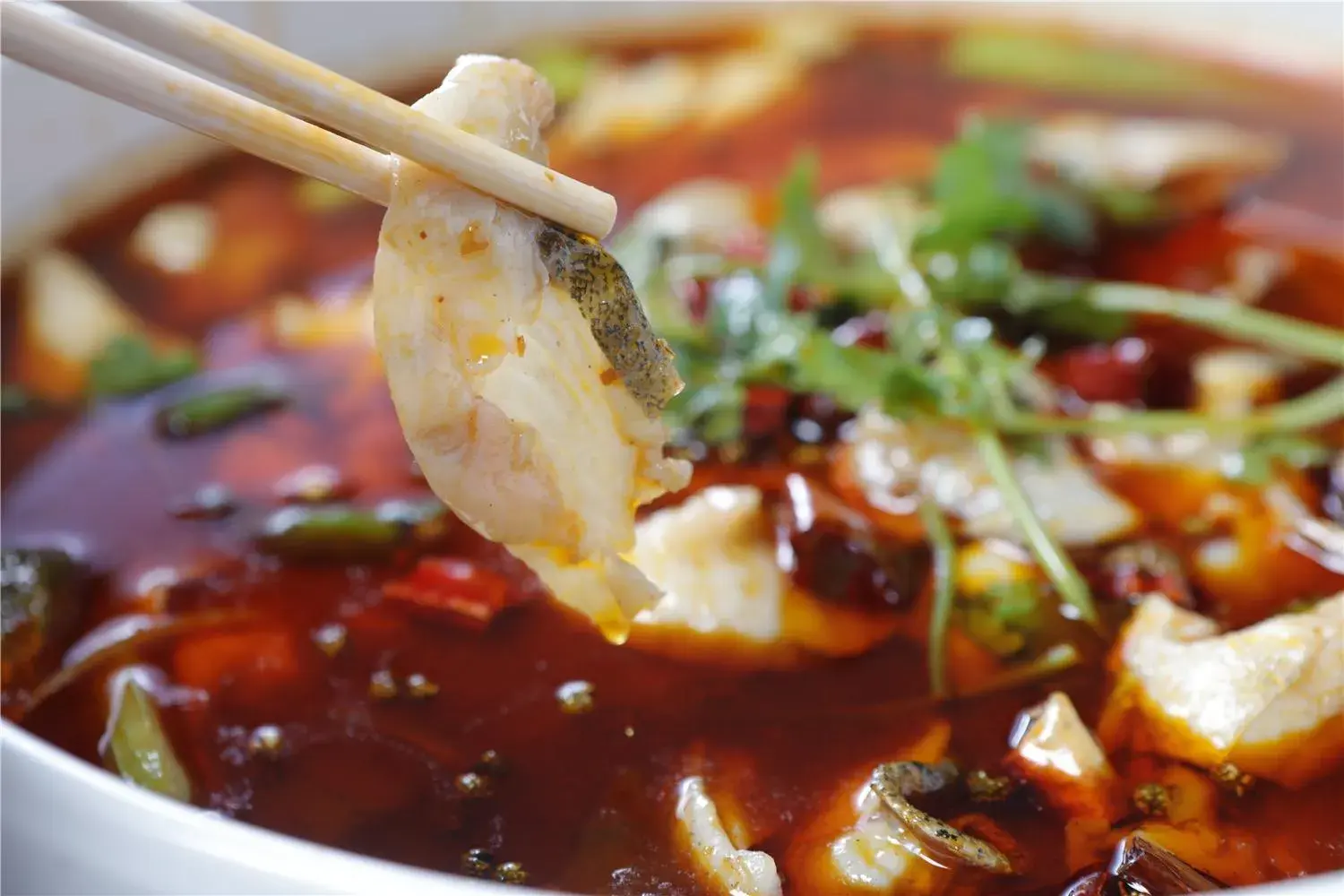 Restaurant/places to eat in Zhejiang Narada Grand Hotel Restaurant/places to eat in Zhejiang Narada Grand Hotel