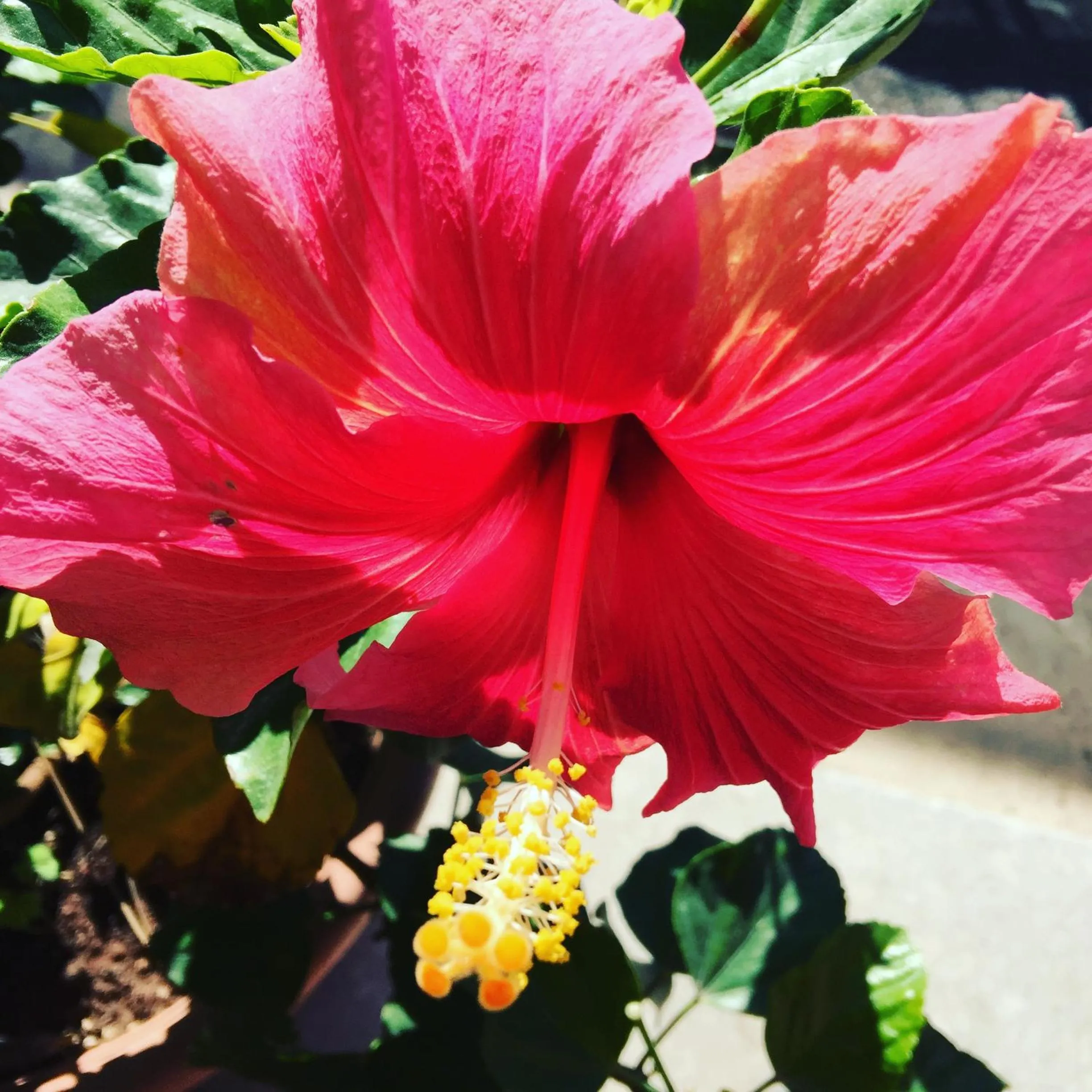 Property building in Relais Villa Italia