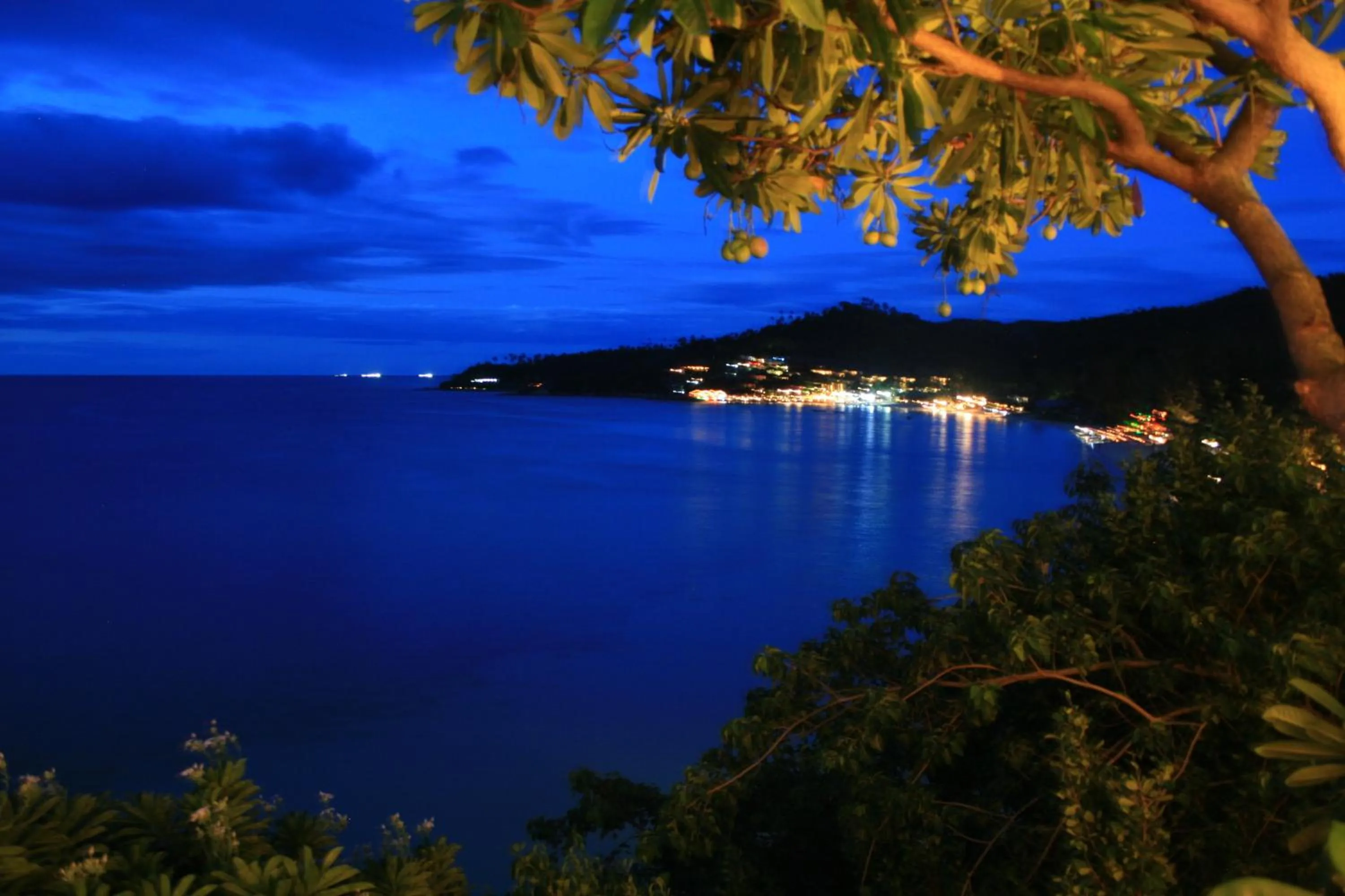 View (from property/room) in High Life Bungalow