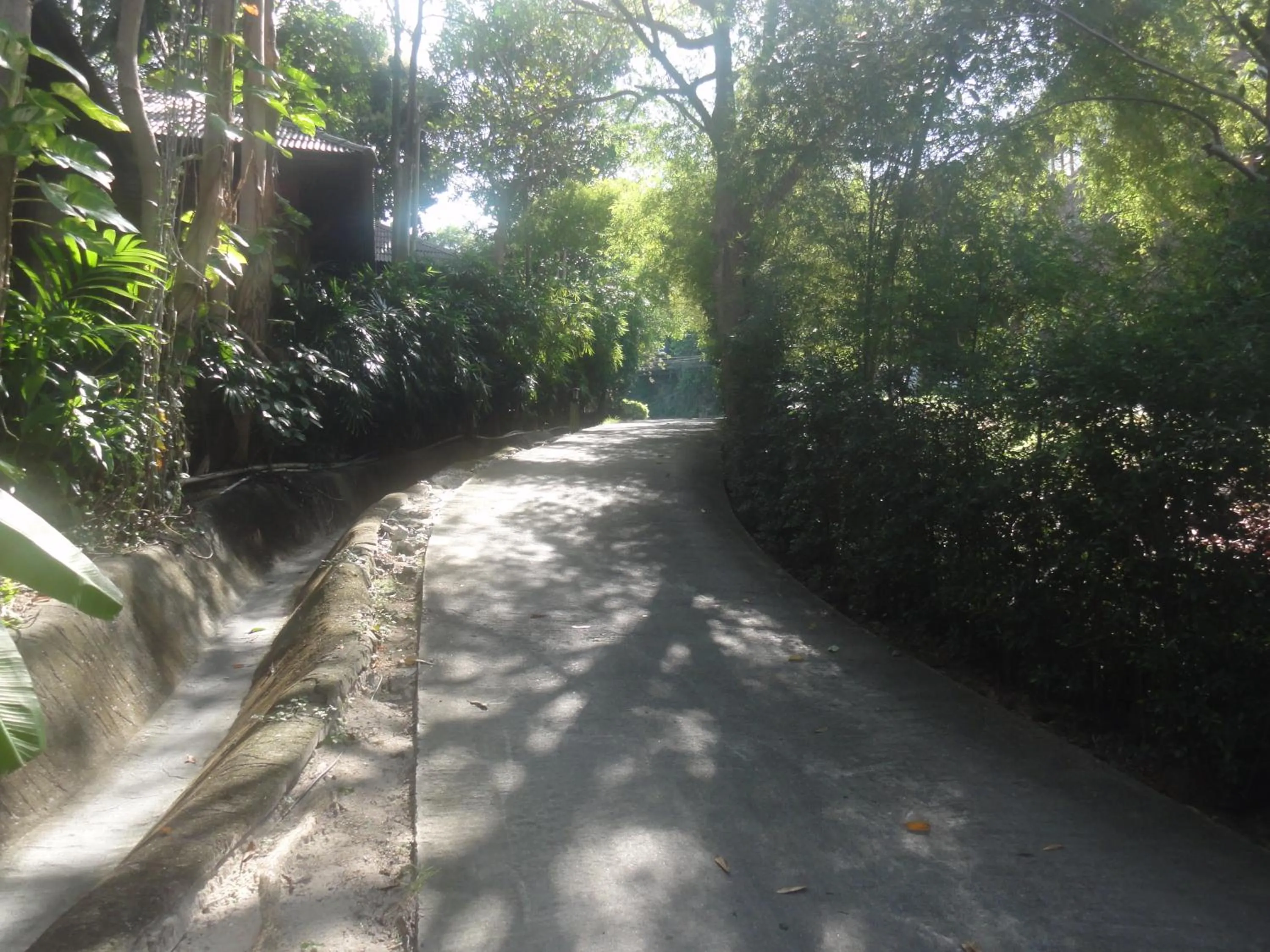 Street view in High Life Bungalow