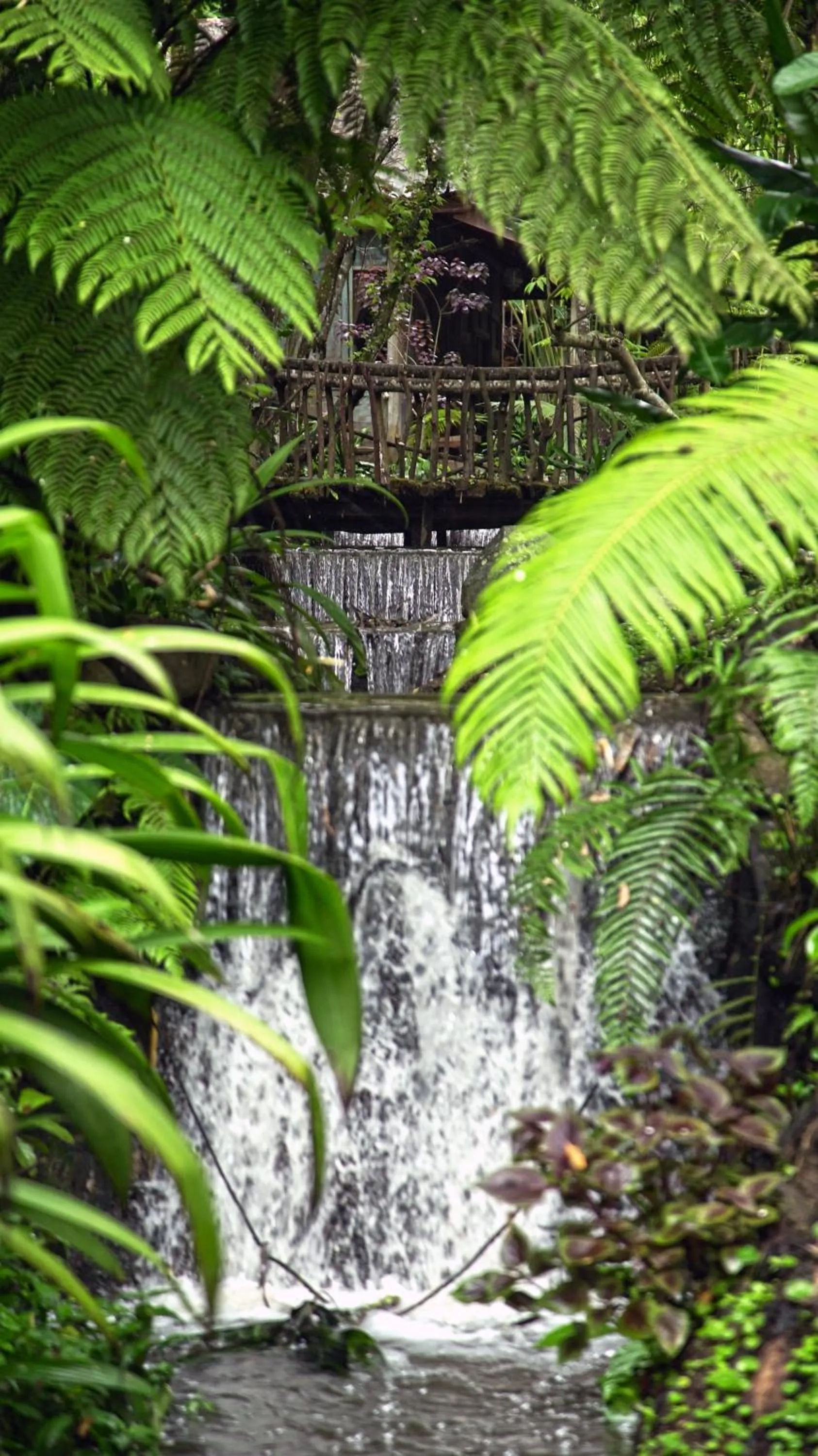 View (from property/room) in Imah Seniman