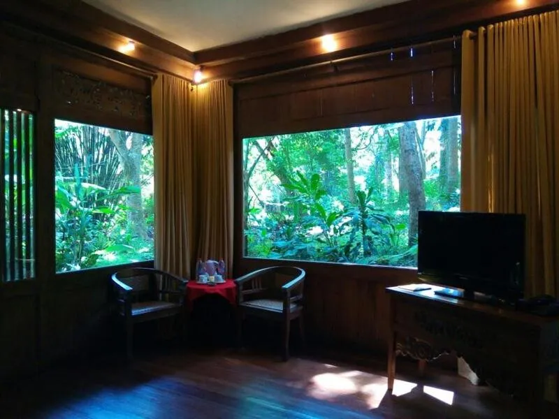 TV and multimedia in Imah Seniman