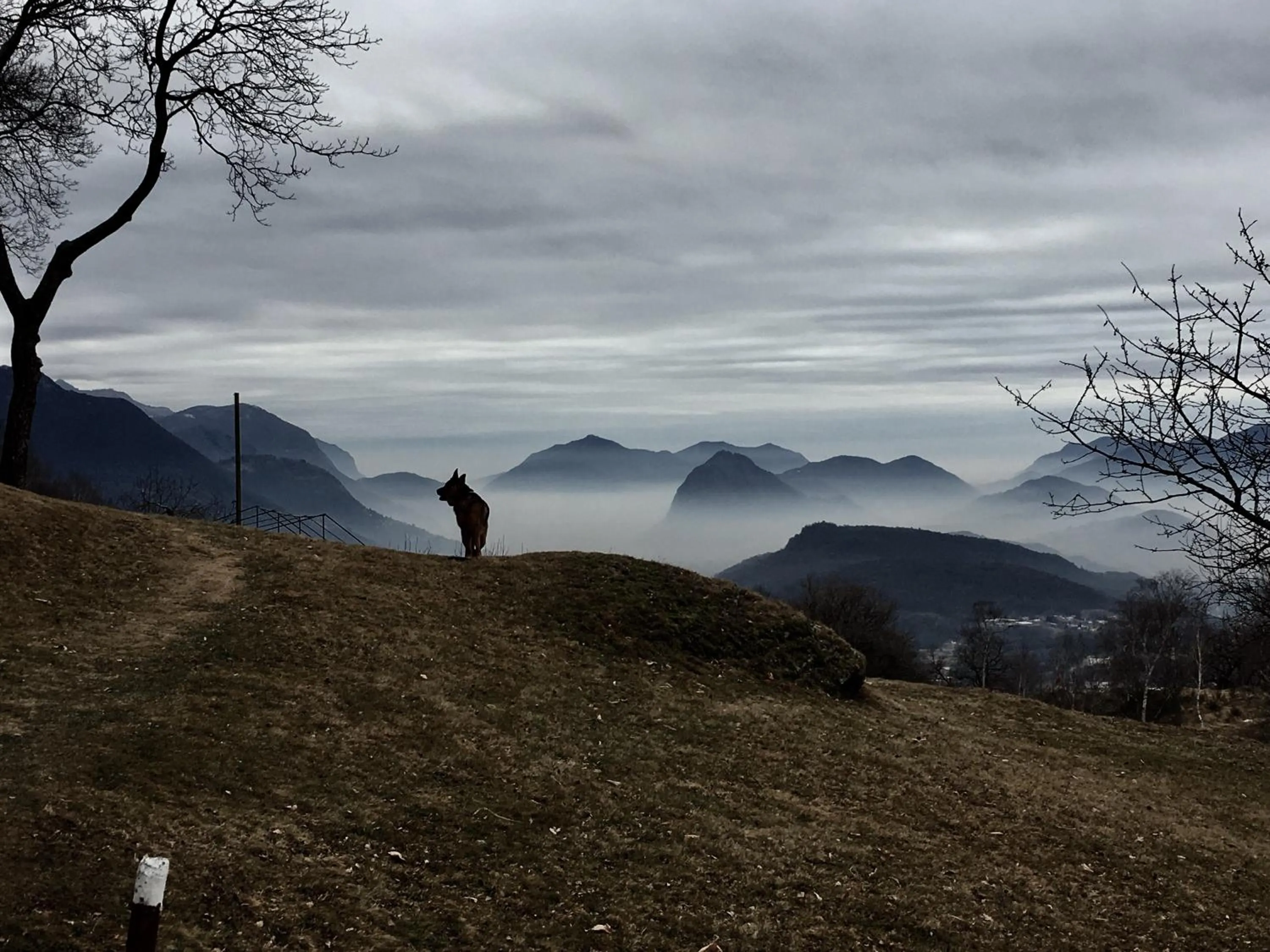 Natural landscape in Ristorante Stazione