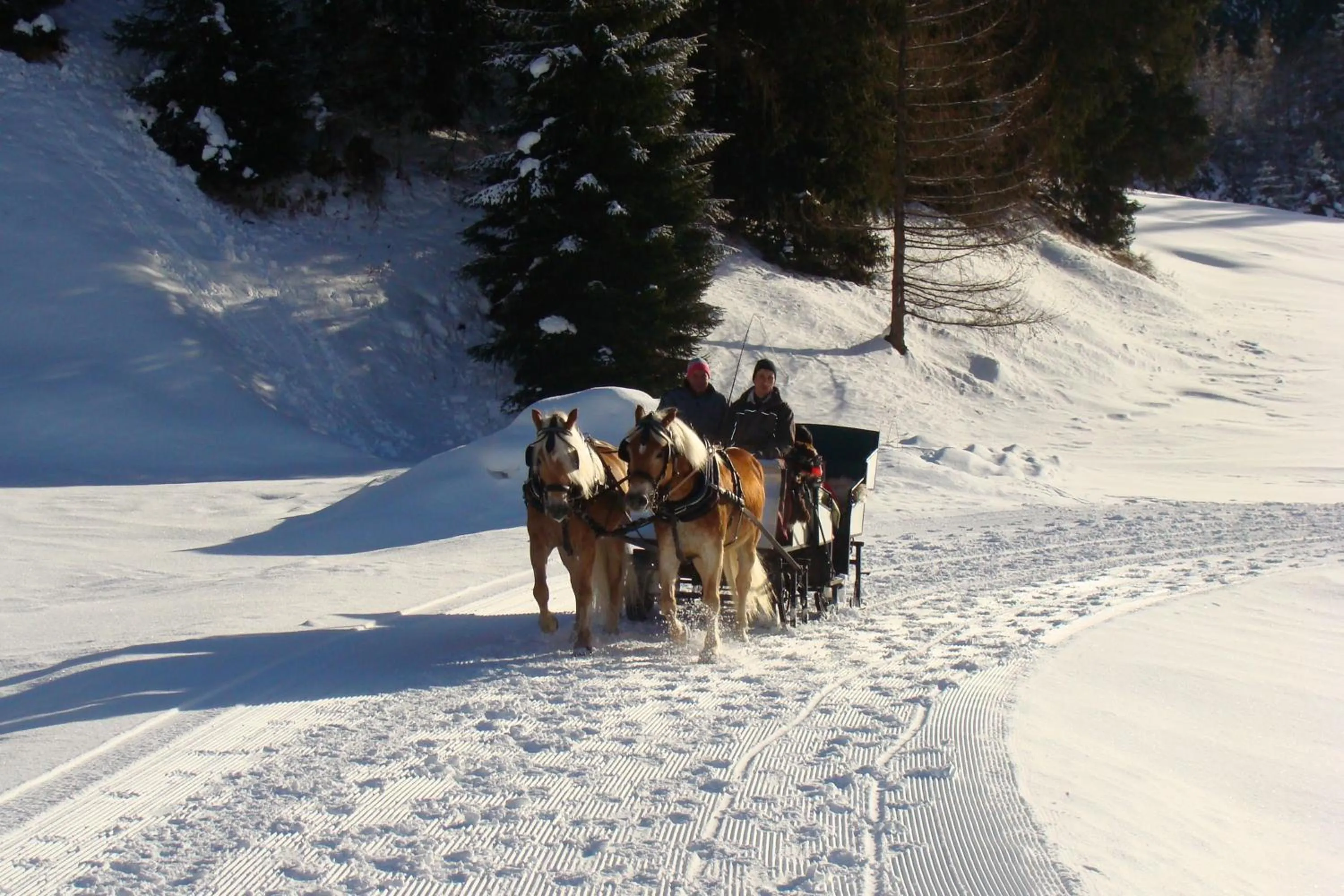 Horse-riding in Alpin Art & Spa Hotel Naudererhof Superior