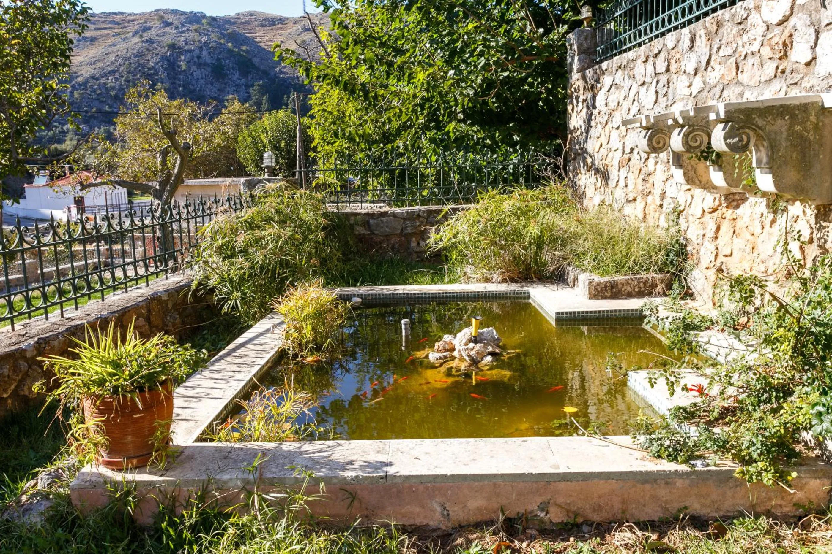 Garden in Ifigenia Theriso Village