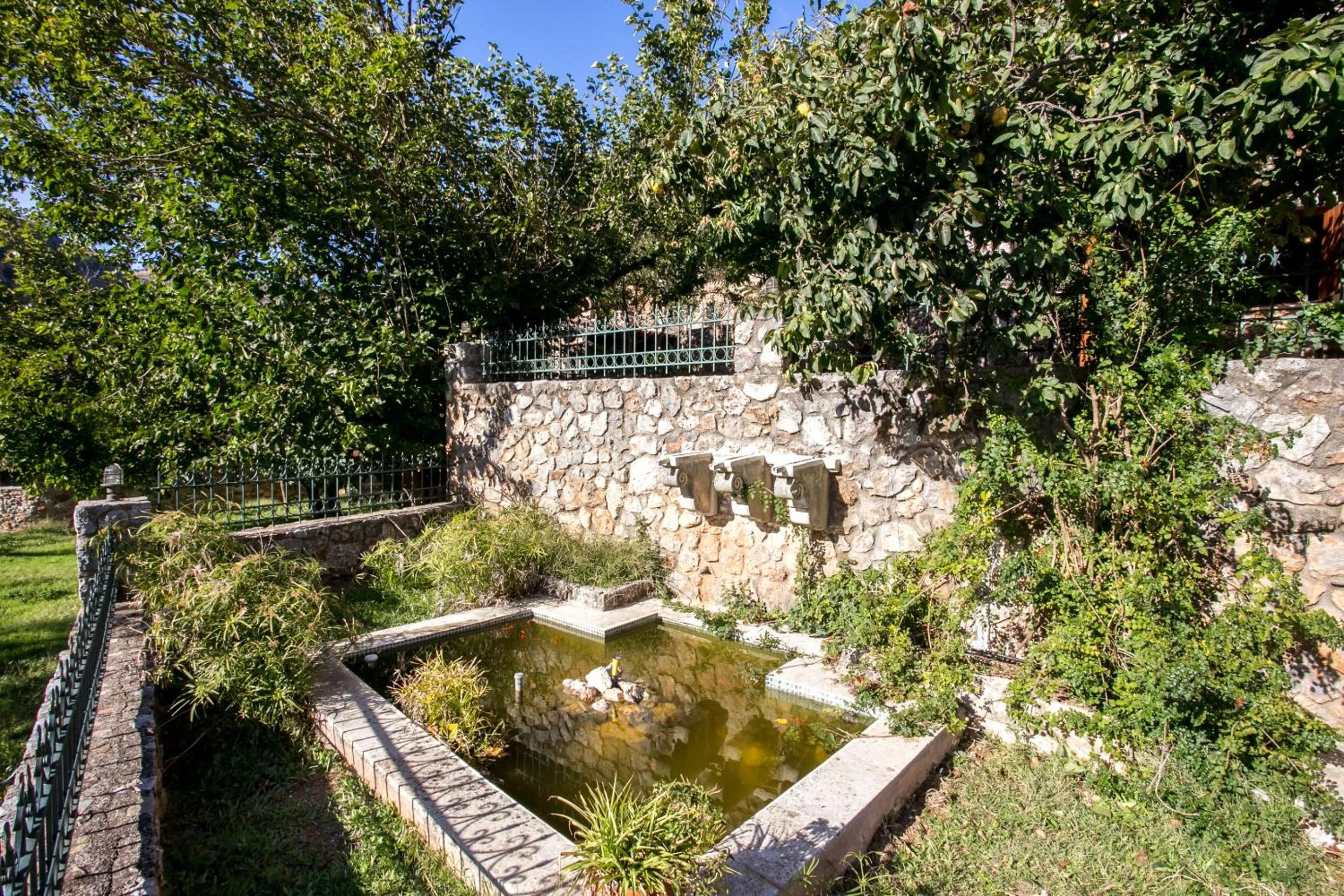 Garden in Ifigenia Theriso Village