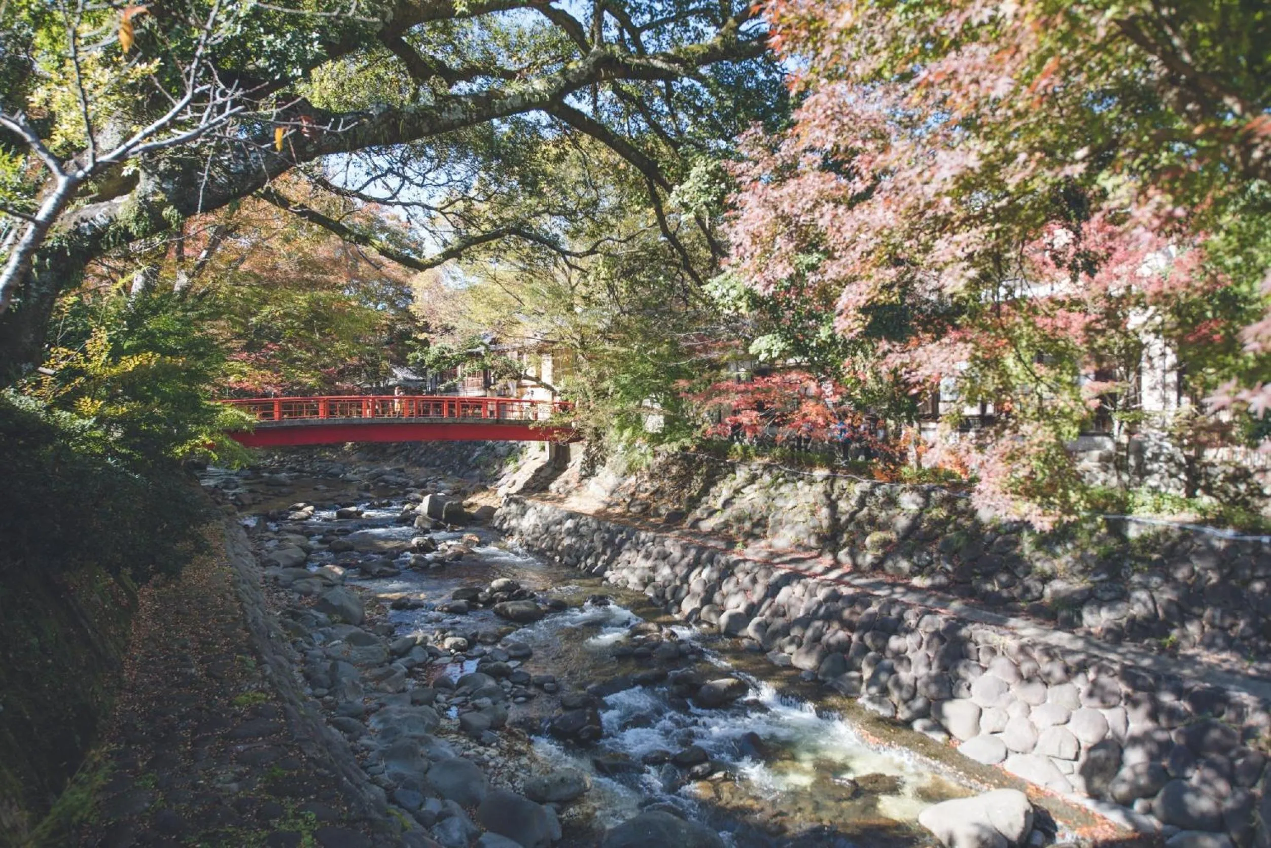 Nearby landmark in Hostel Knot