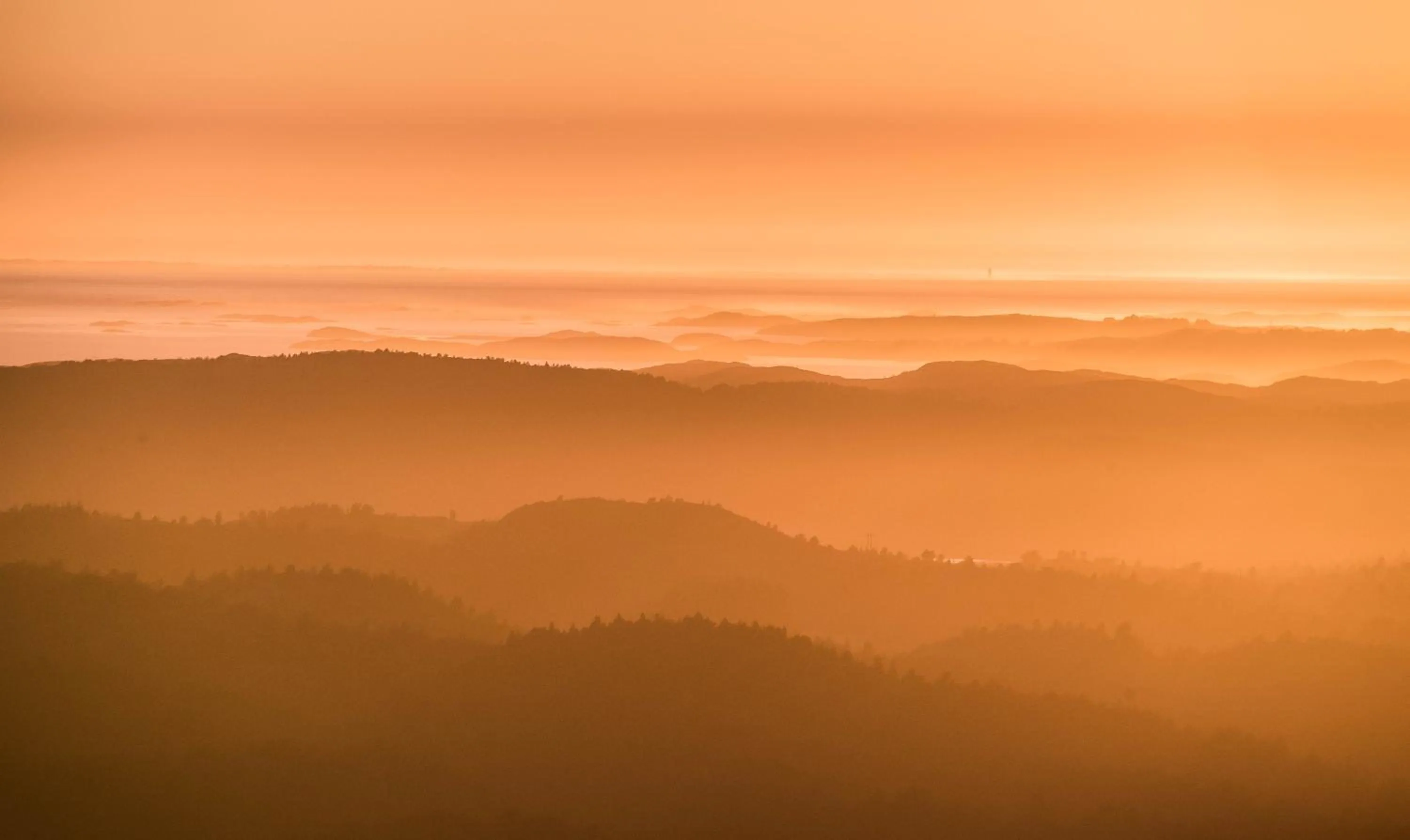 Natural landscape in Dolmsundet Hotell Hitra