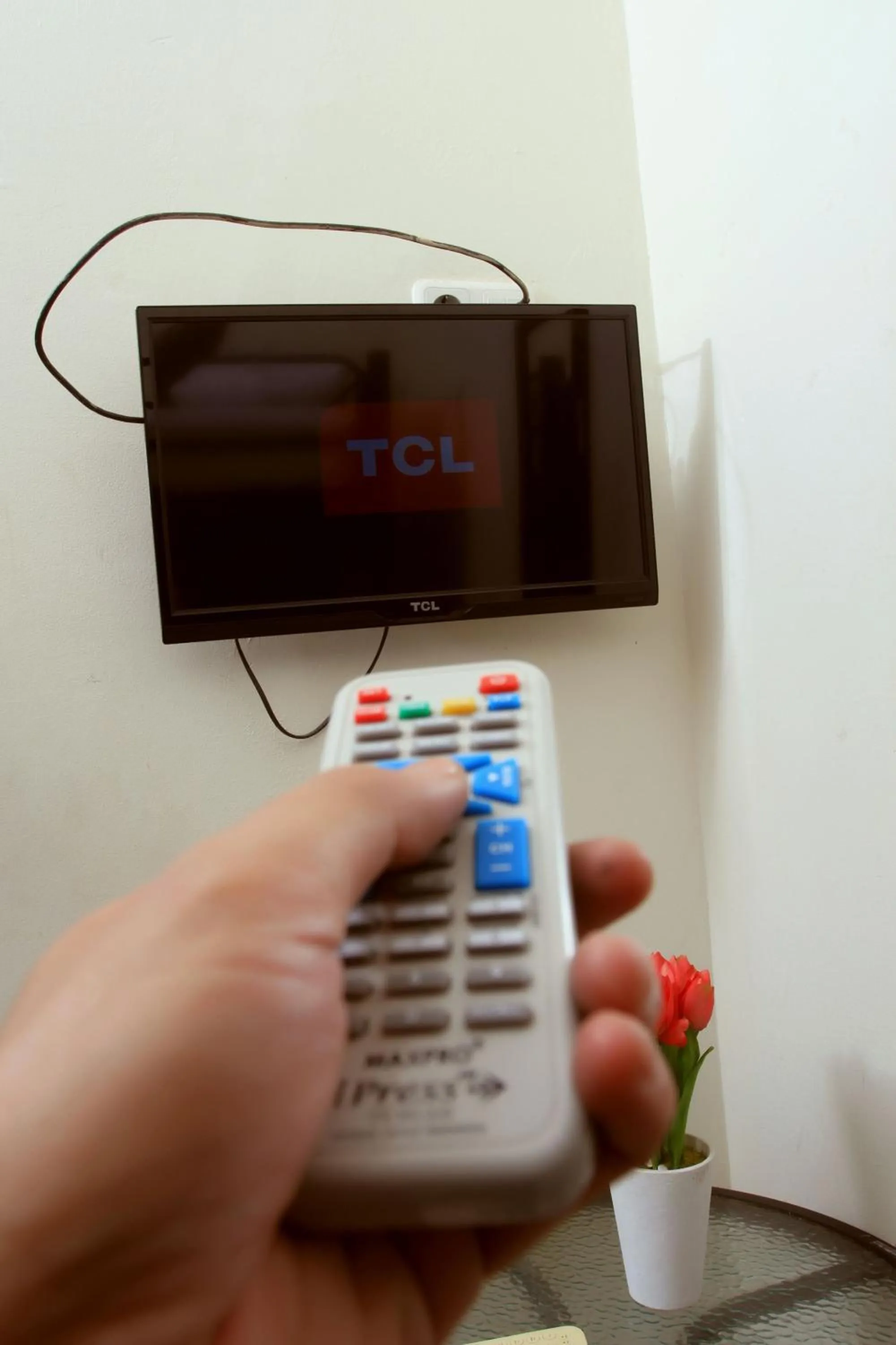 TV and multimedia in Unique Guesthouse