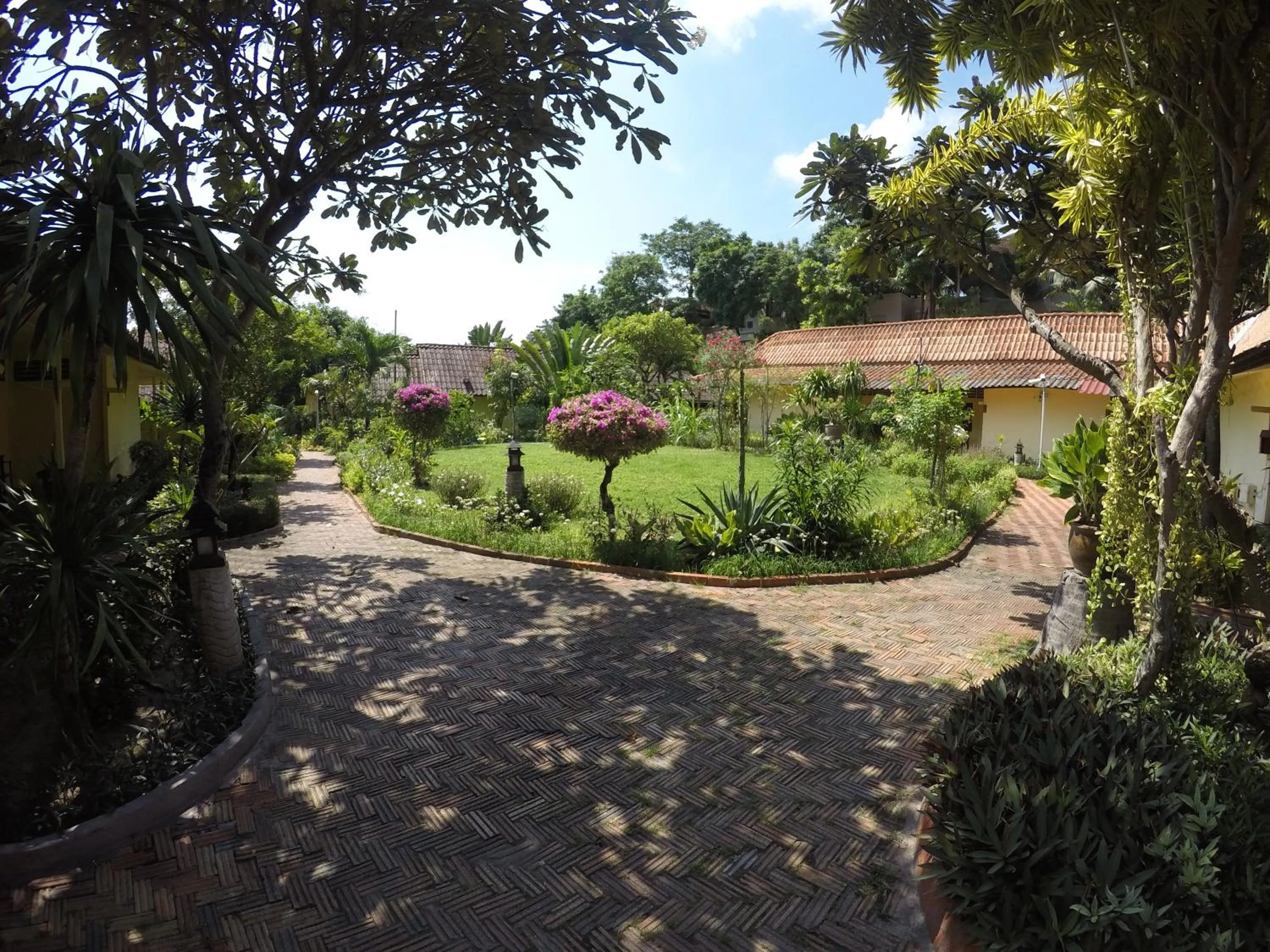 Garden view in OP Bungalow