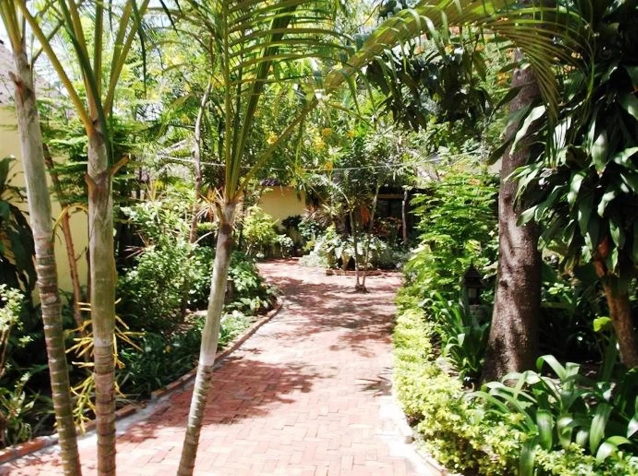 Garden in OP Bungalow