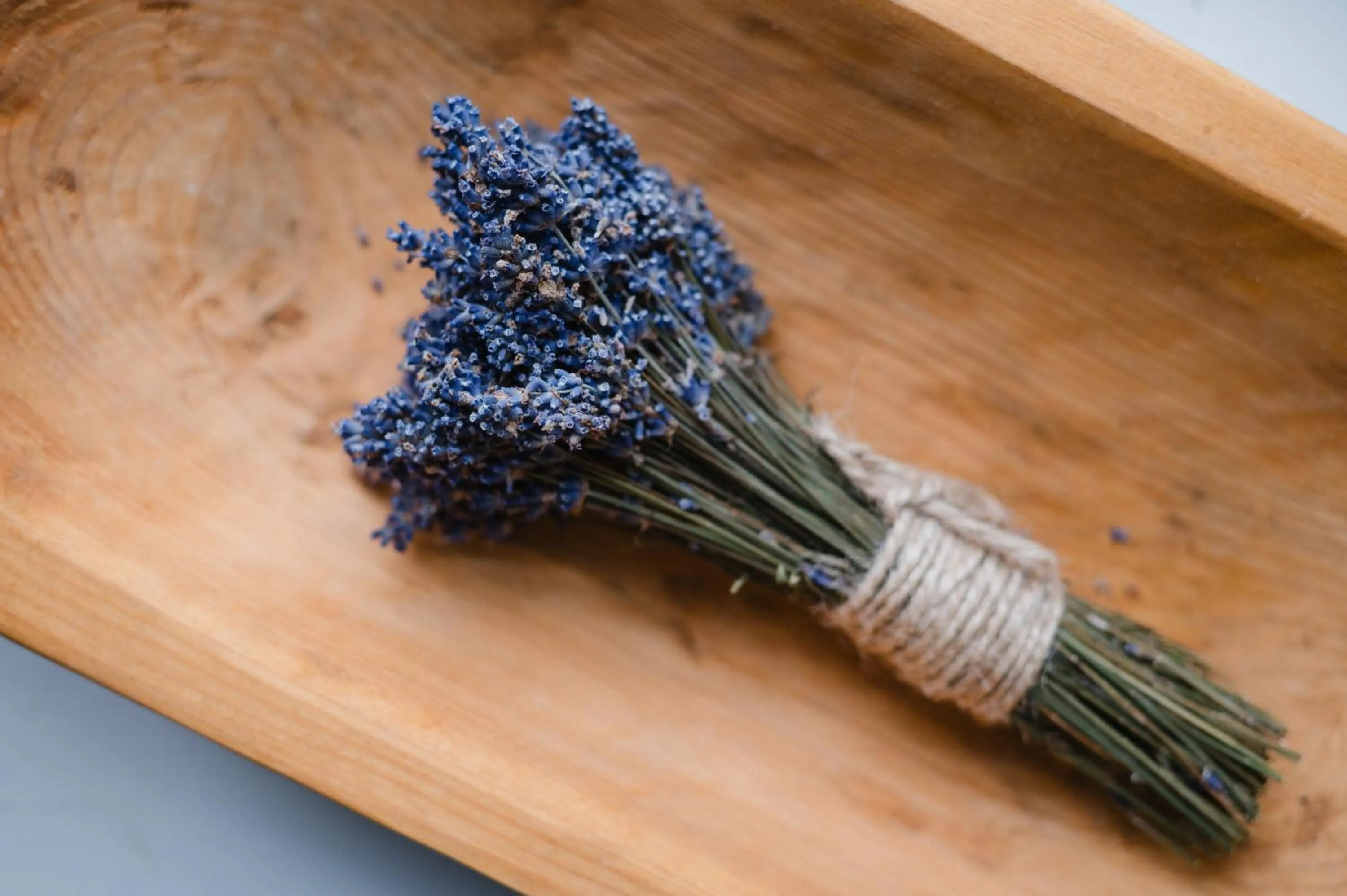 Decorative detail in Hotel Podklasztorze