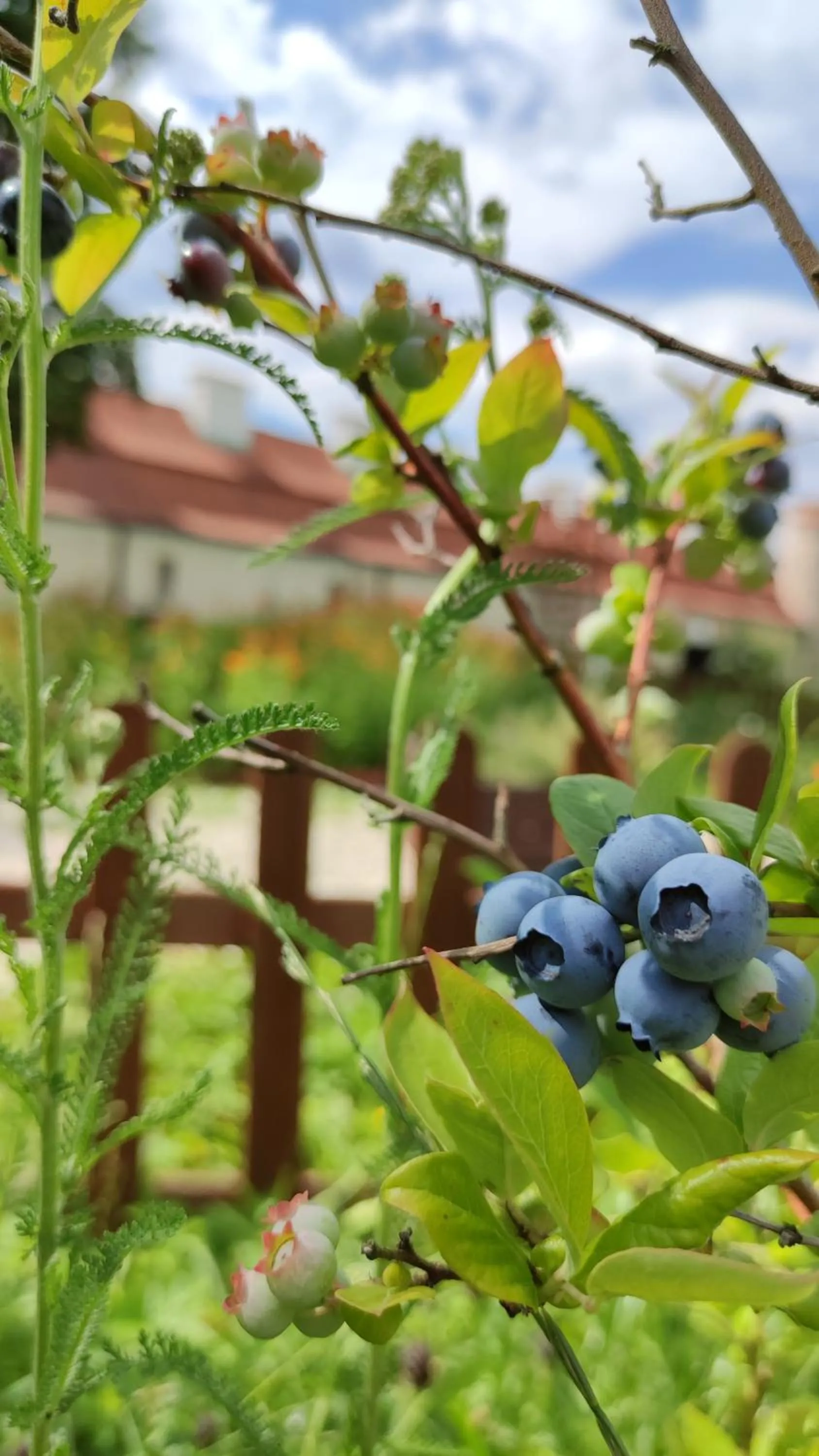 Garden in Hotel Podklasztorze