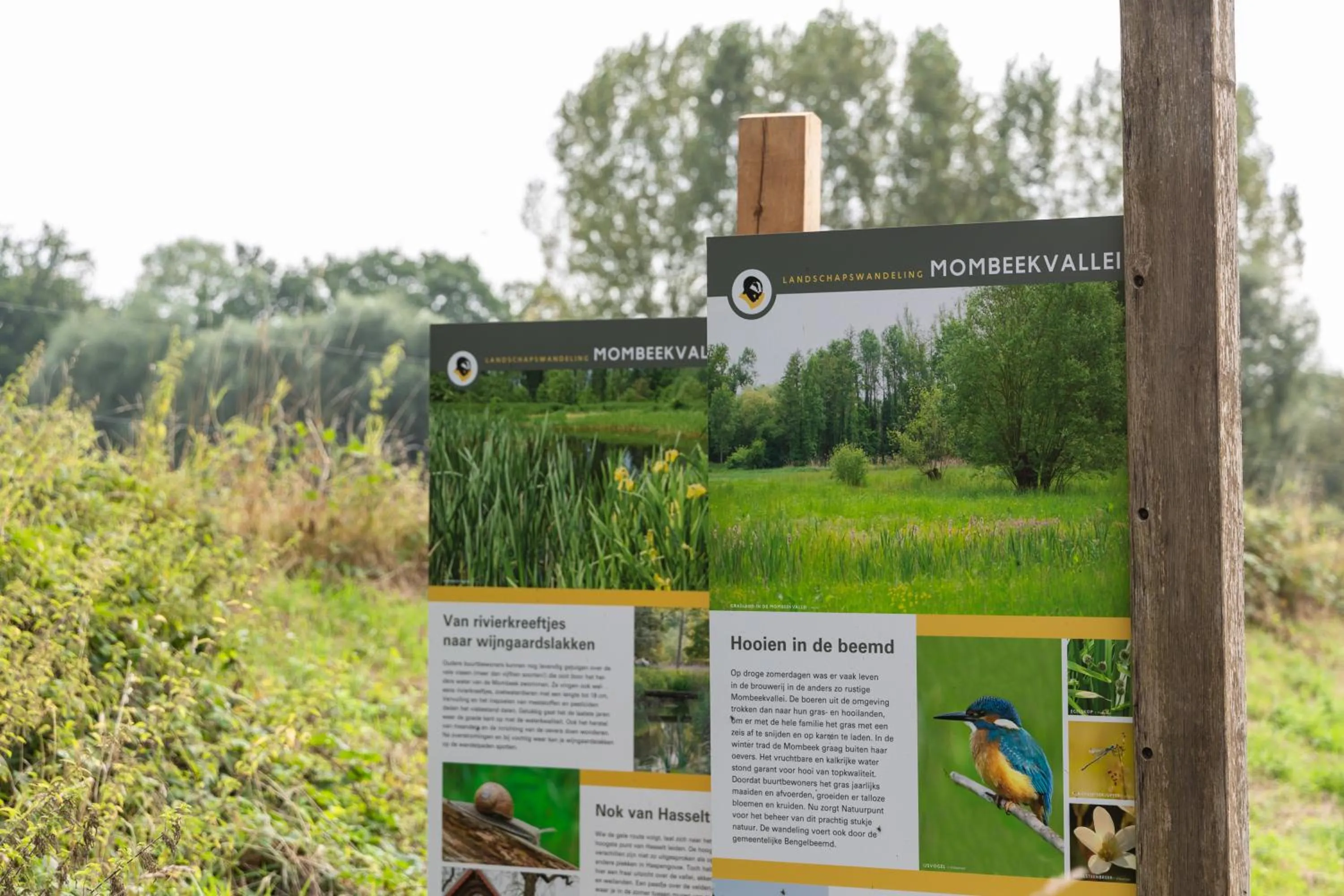 Neighbourhood in B&B Sasput