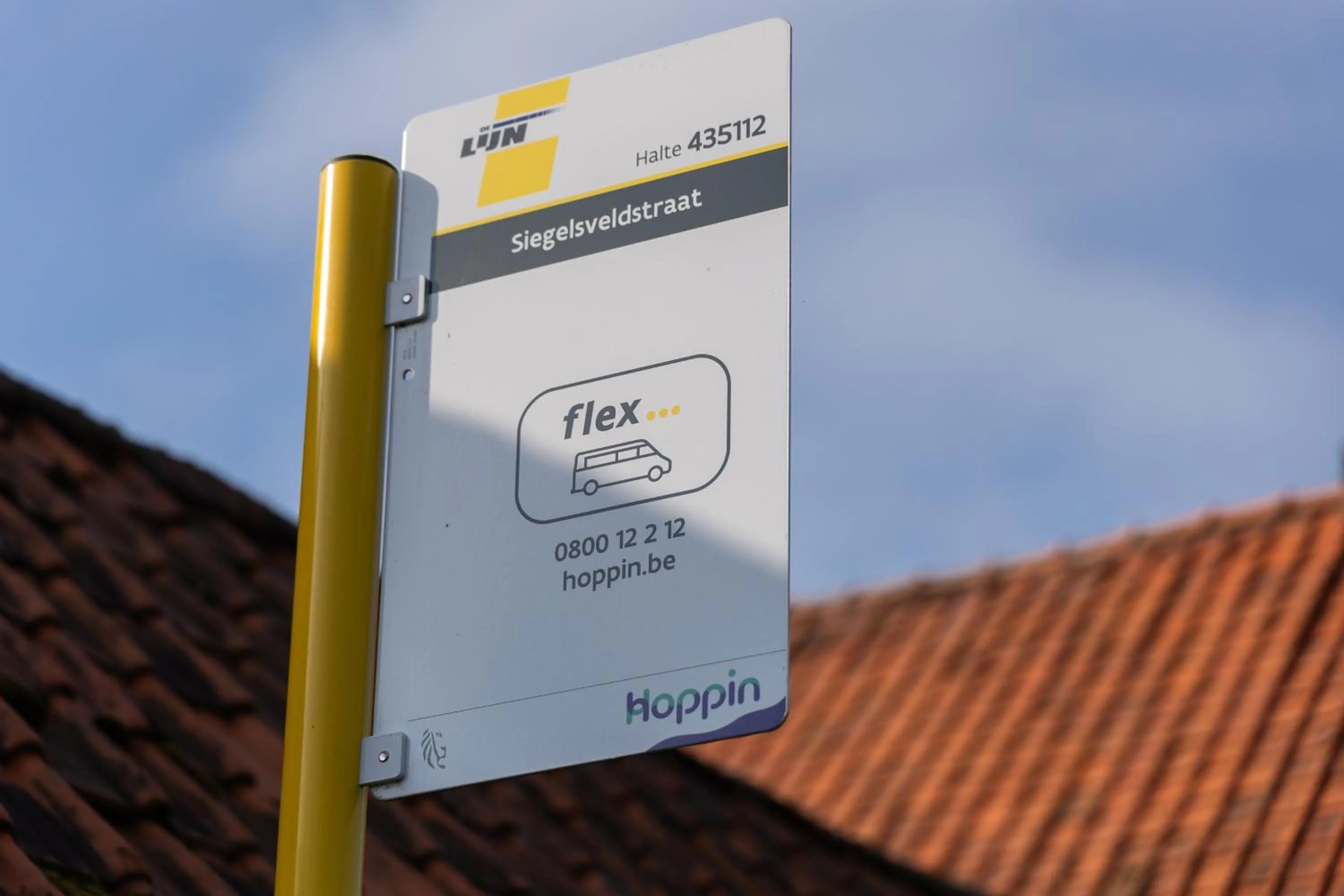 Neighbourhood in B&B Sasput