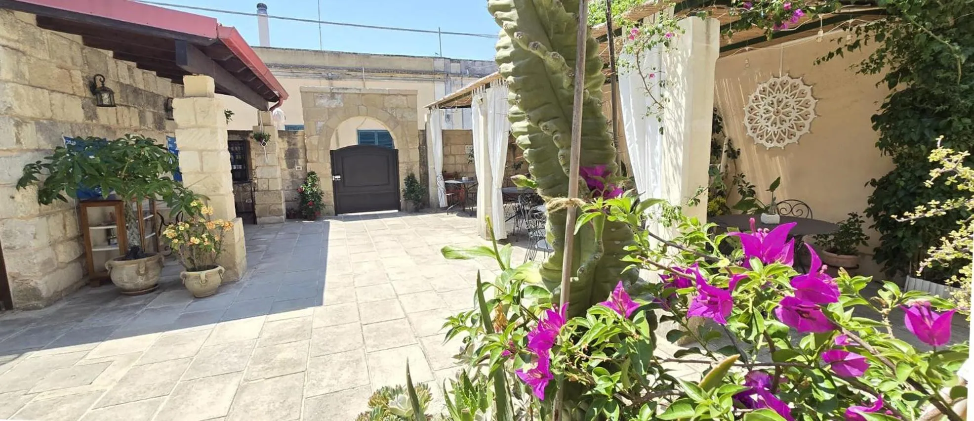 Garden in Salento Ada's House