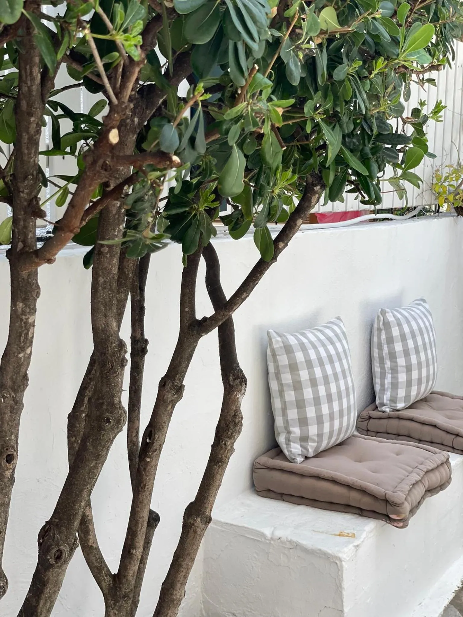 Garden in Xenios Hotel