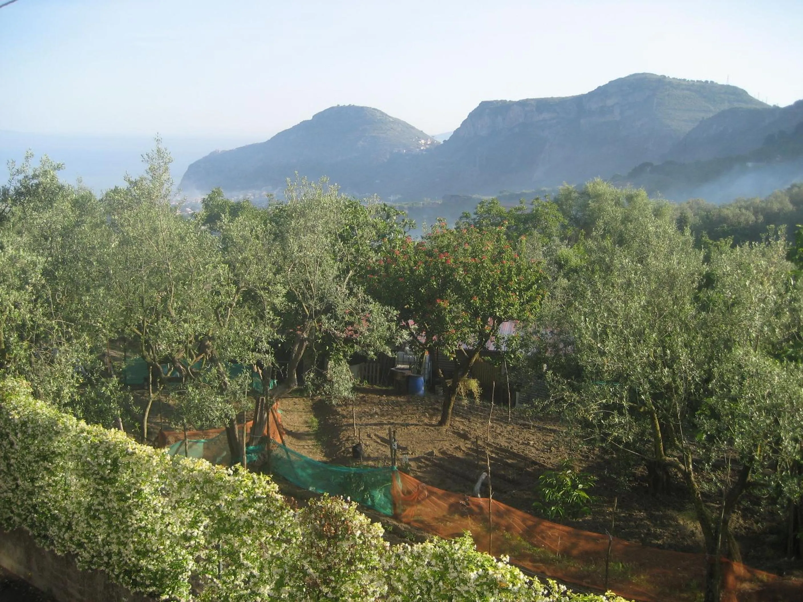 Day in Hotel Royal Hills