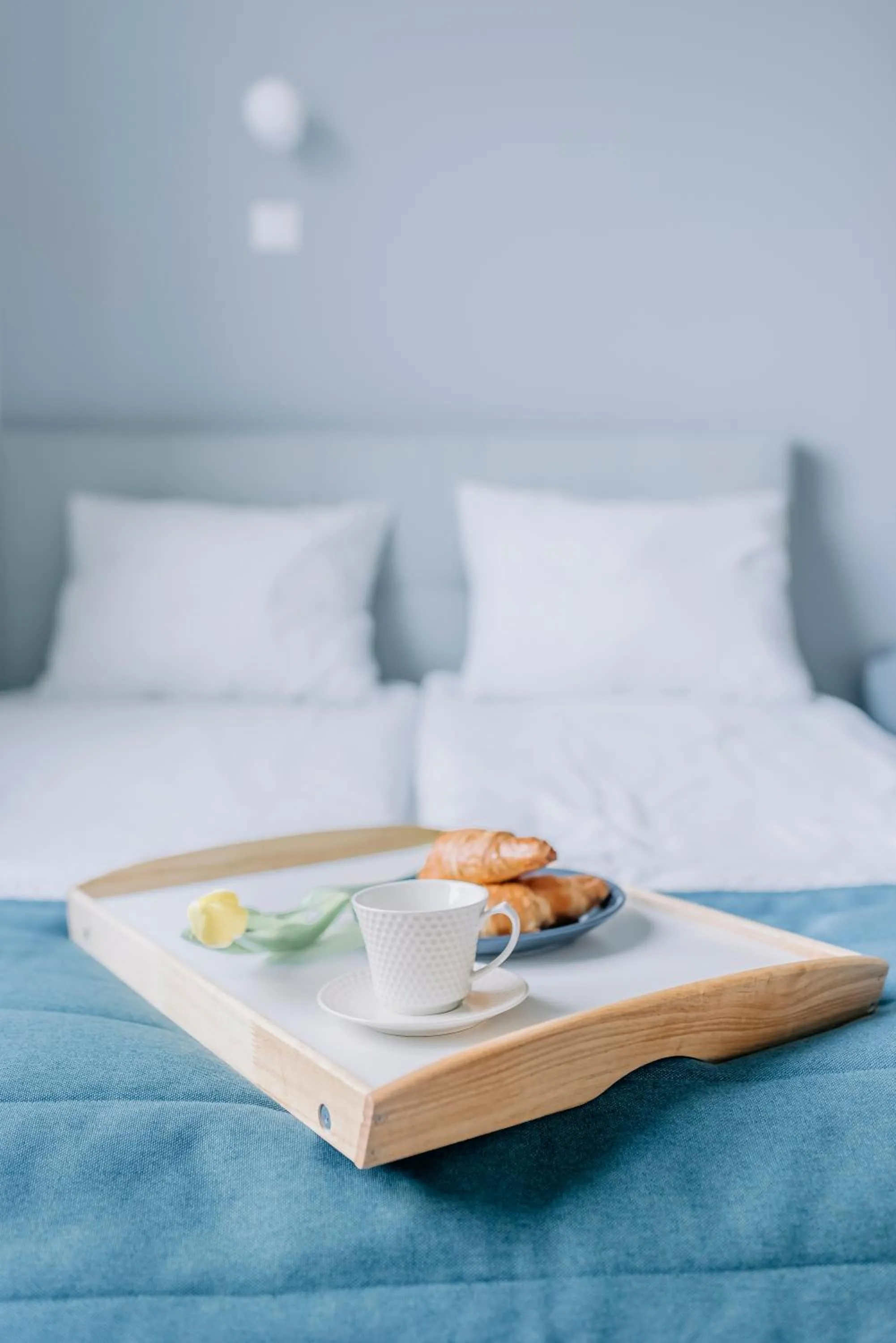 Bed in APARTEL Plac Zbawiciela Studio
