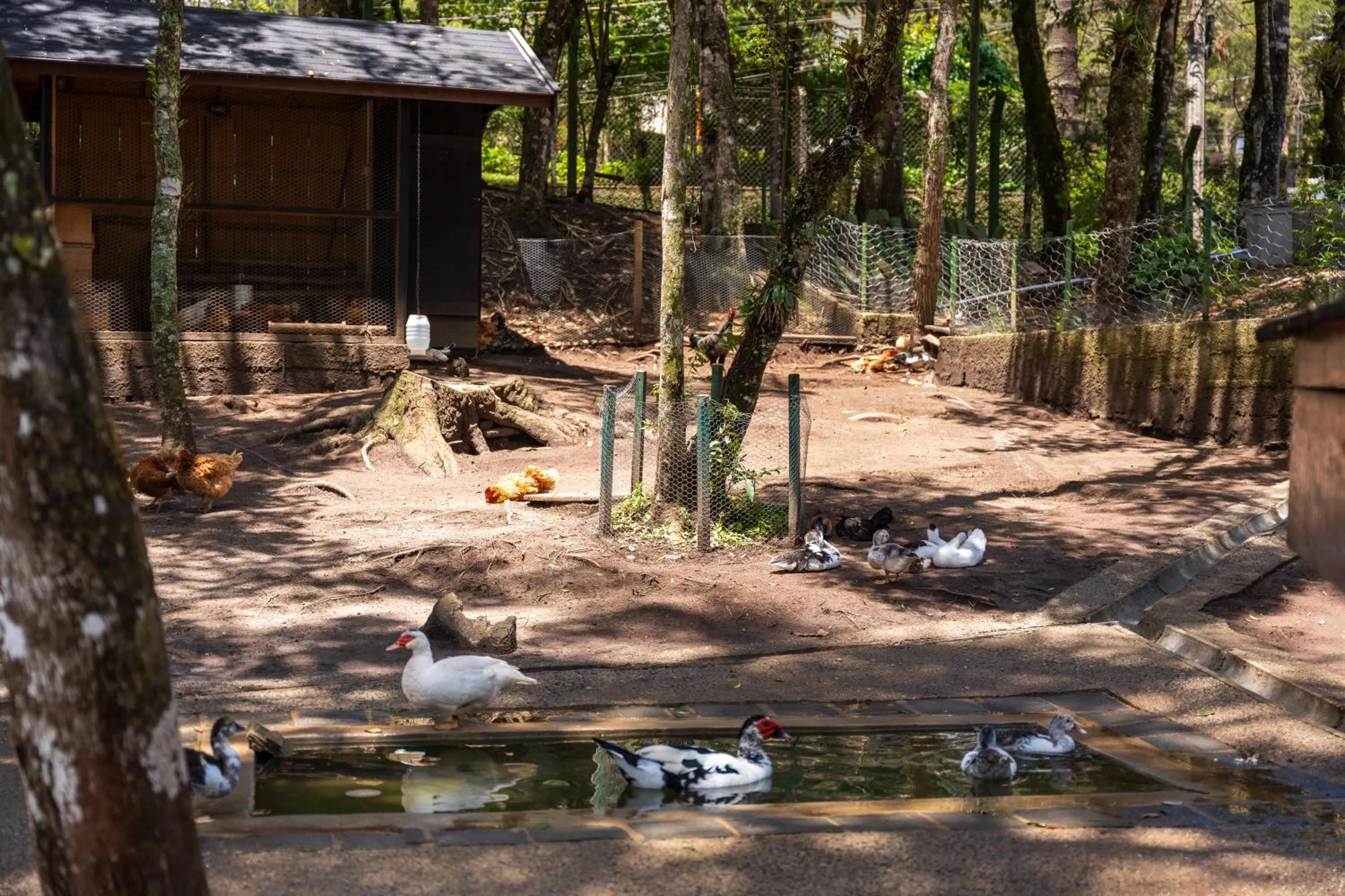 Activities in Pousada Campos dos Holandeses - Campos do Jordao