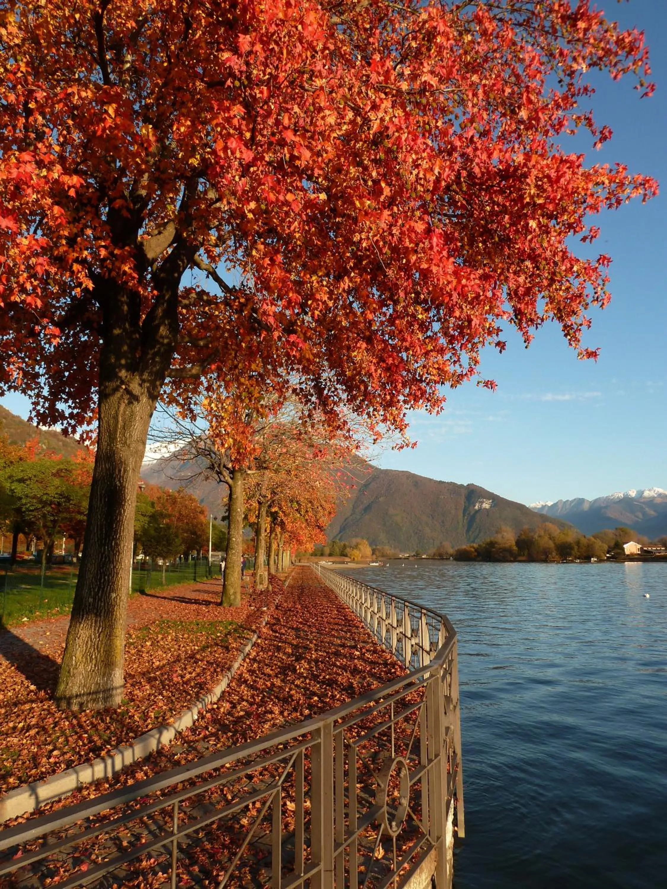 Other in Hotel Europa - Sorico