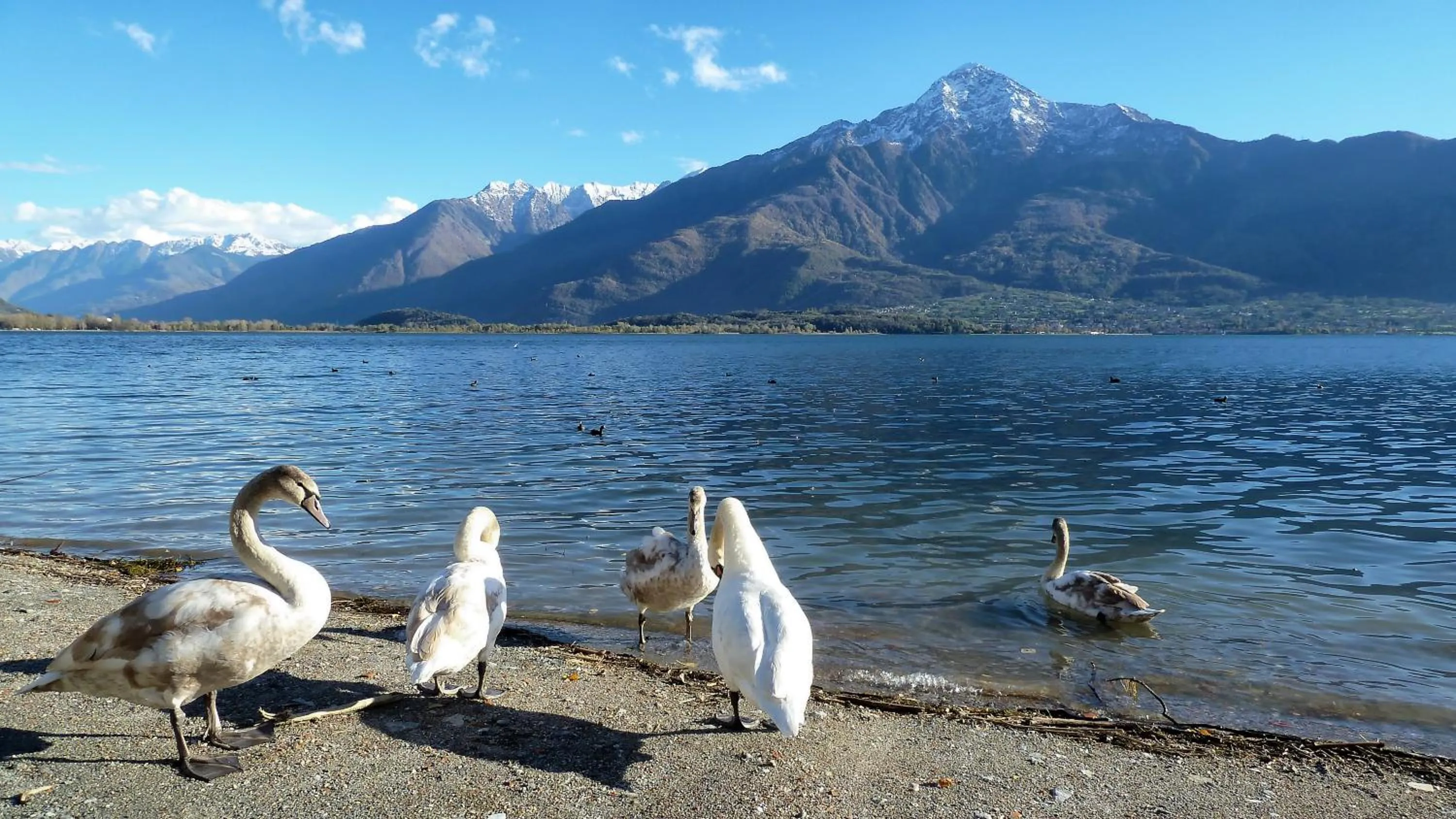 Natural landscape in Hotel Europa - Sorico