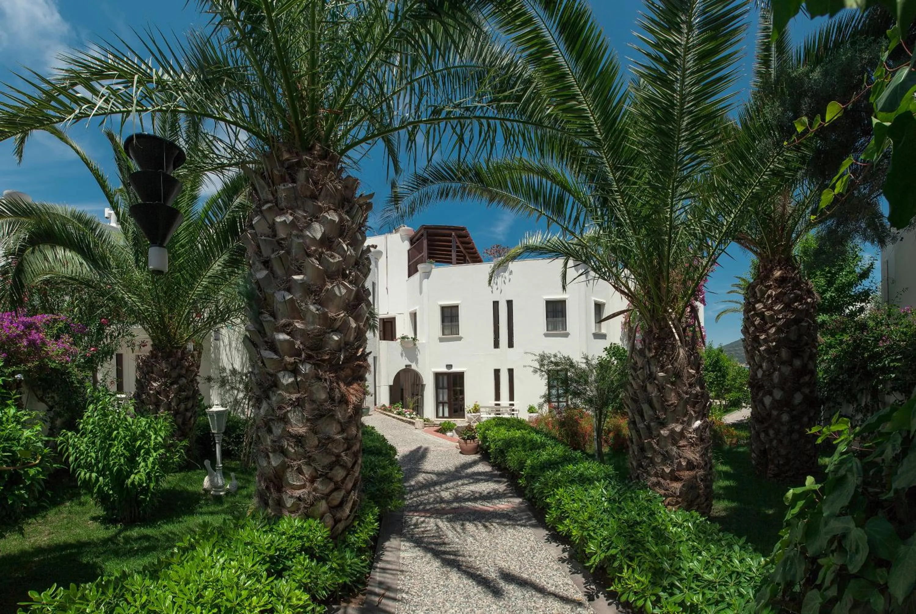 Garden in Torbahan Hotel