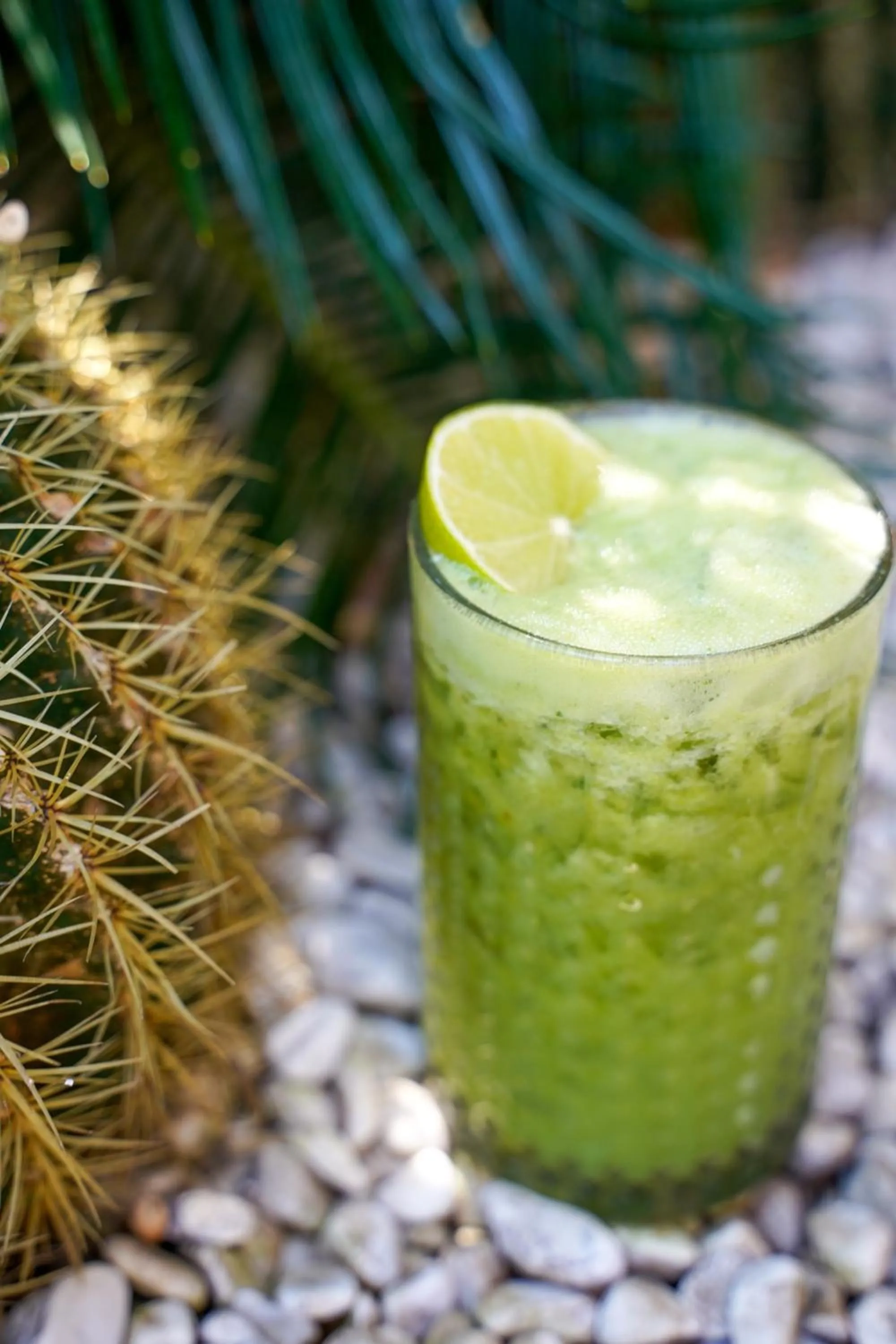 Lounge or bar in Torbahan Hotel